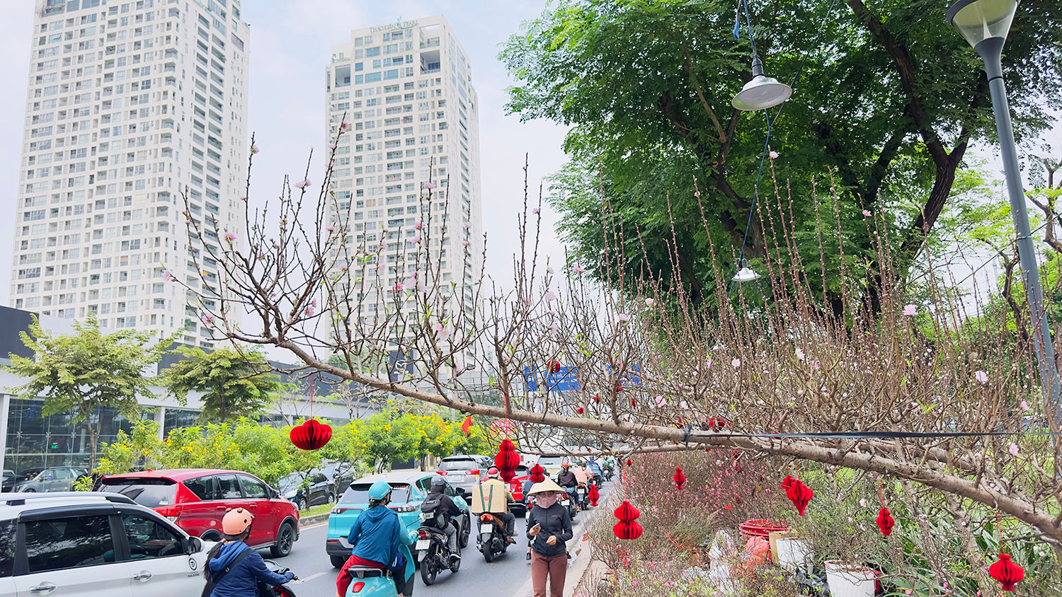 Hoa Tết xuống phố sớm nhưng thị trường vẫn khá trầm lắng 
