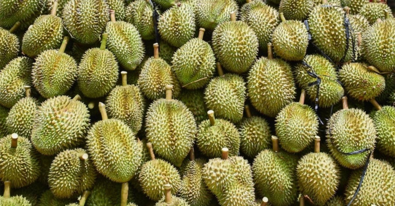sau-rieng.jpg