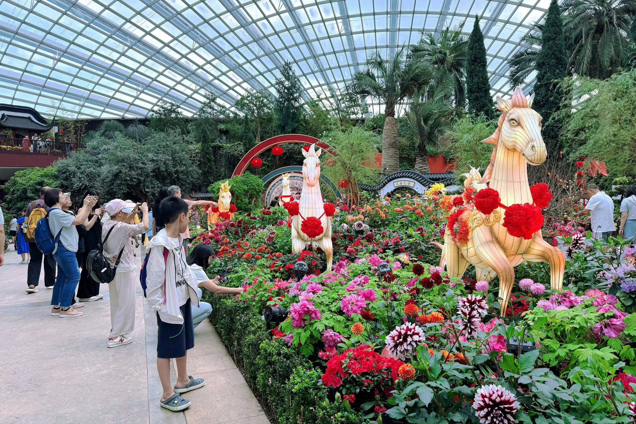 Singapore (14)