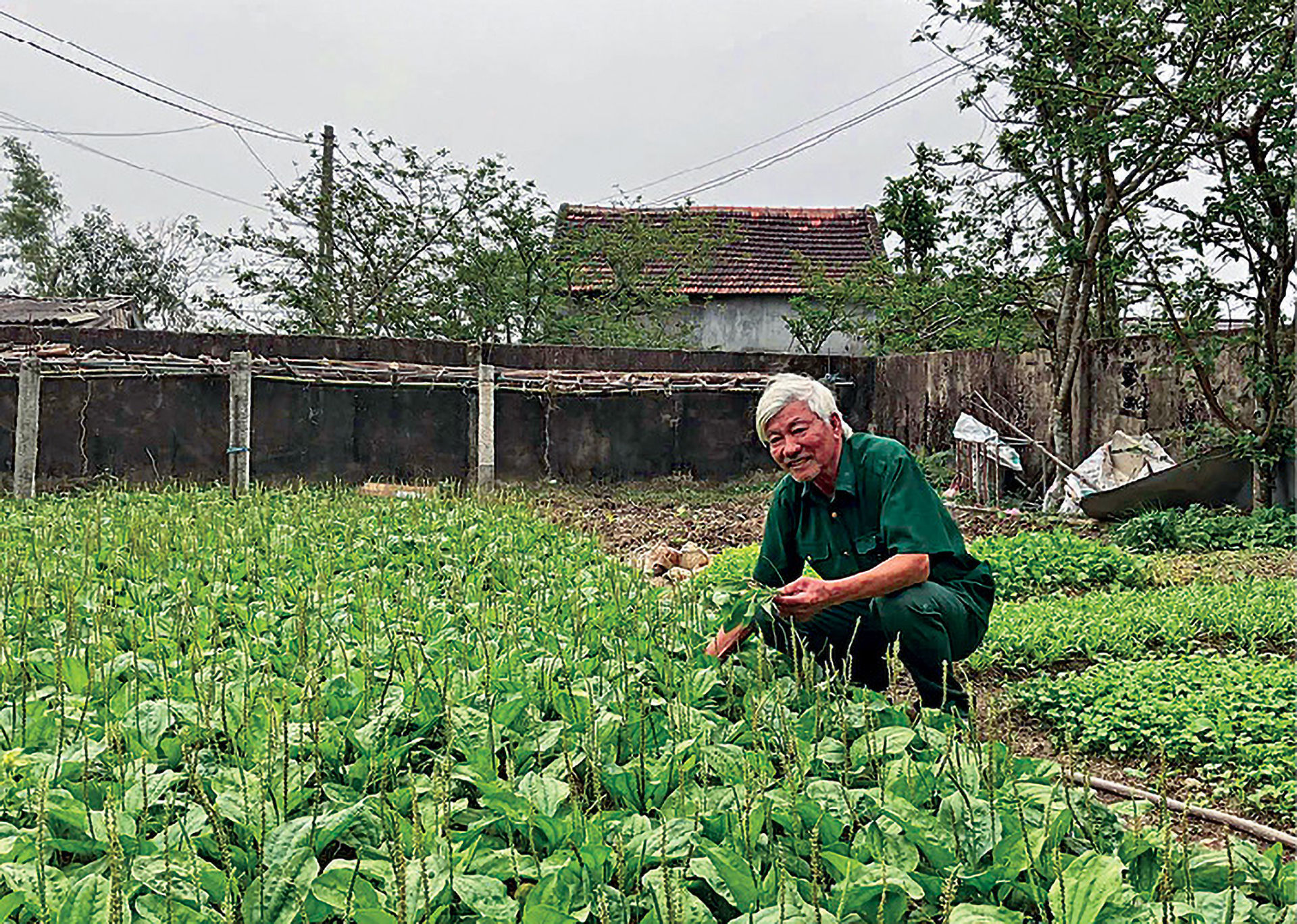 thầy lang 3