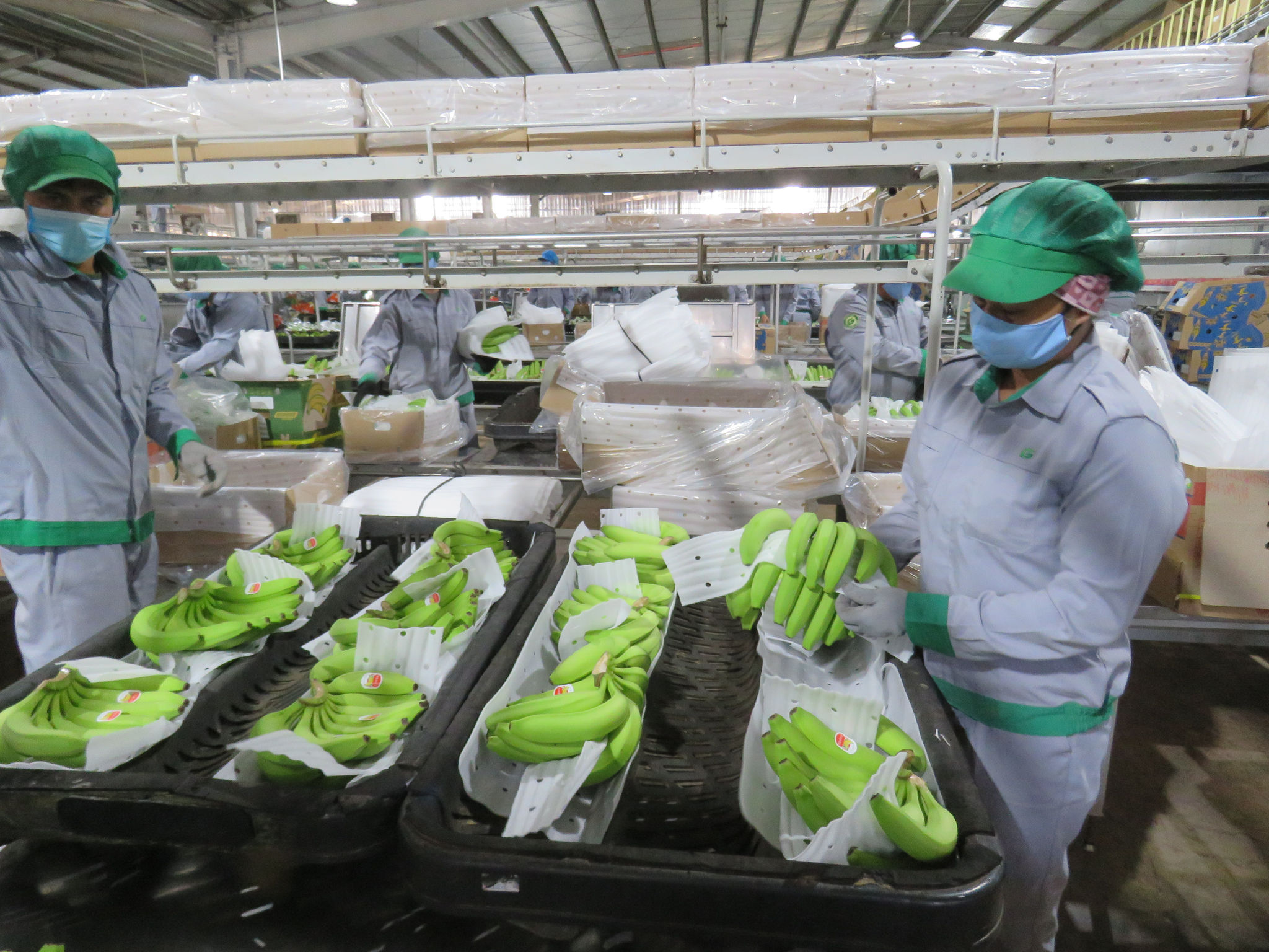 Nông sản xuất siêu giảm 60,6%: Gọi tên 'bẫy' gia công và hụt nguyên liệu