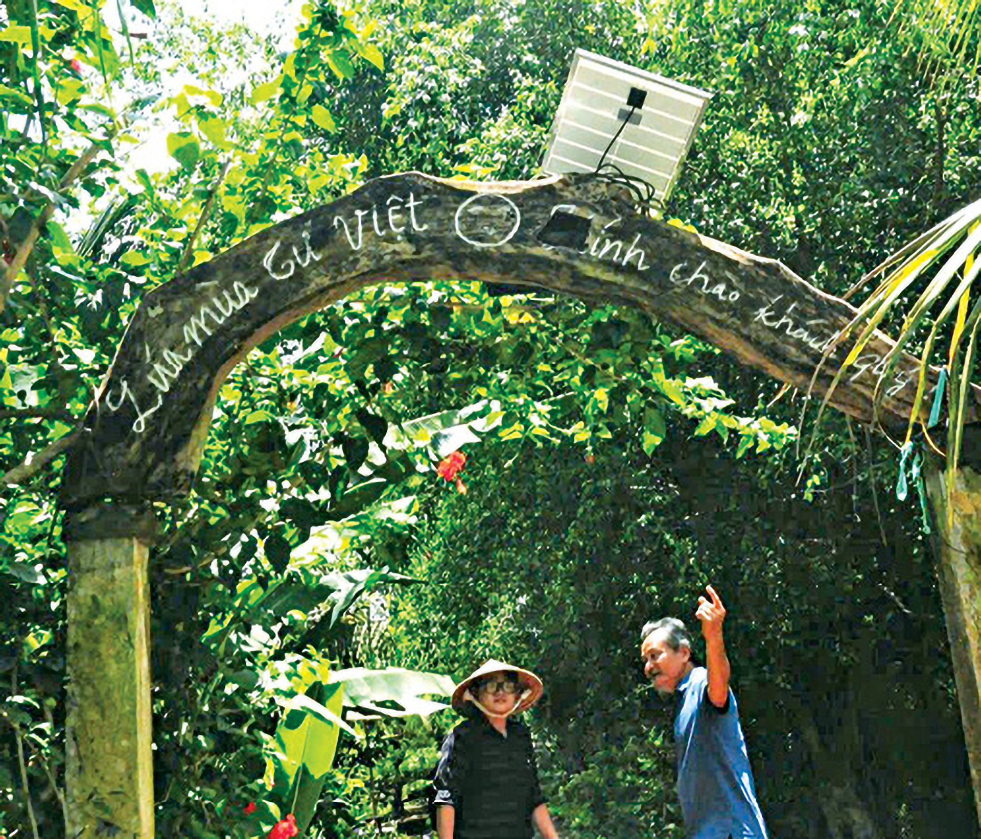 hồn đồng bằng 2