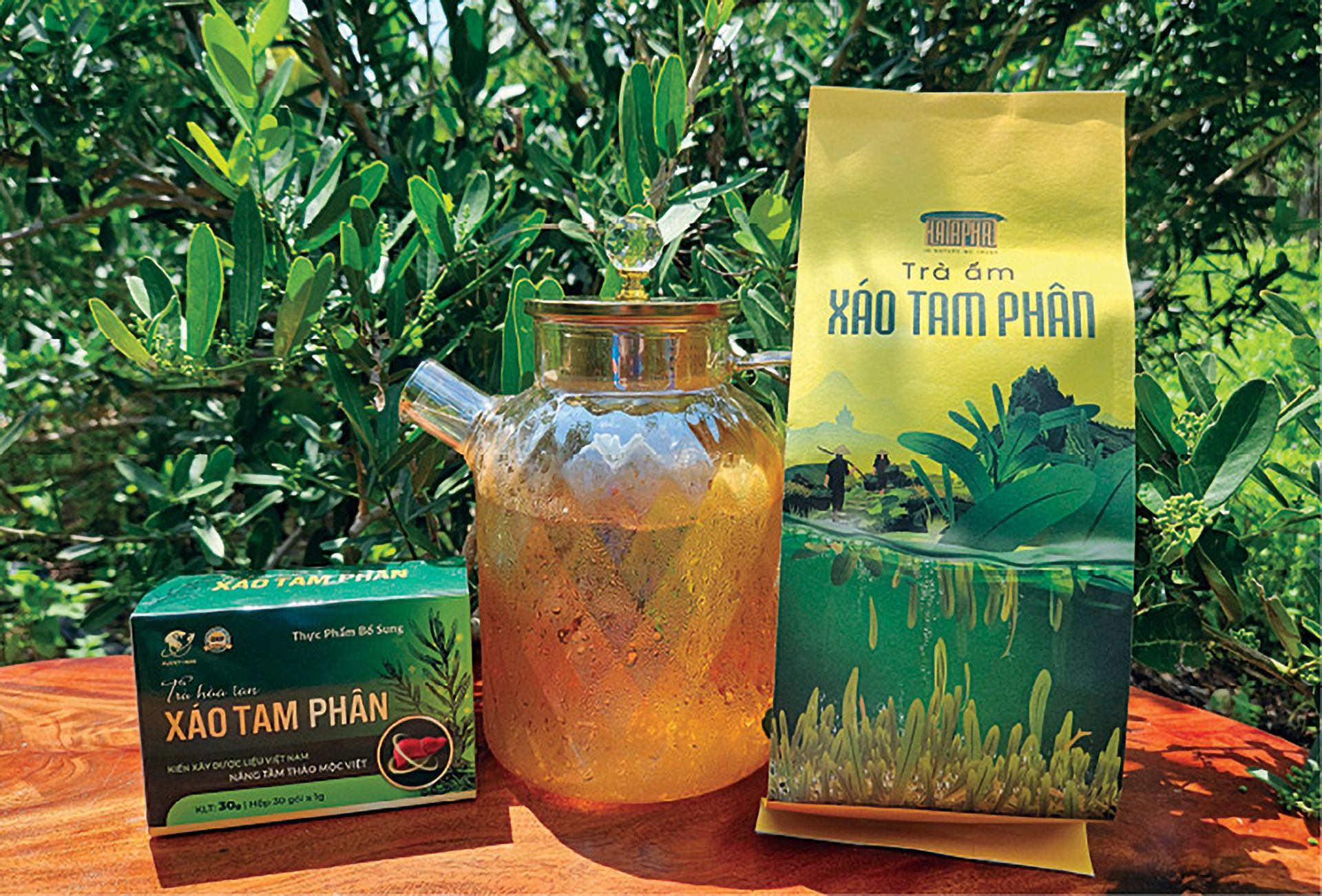 nông nghiệp xanh 1