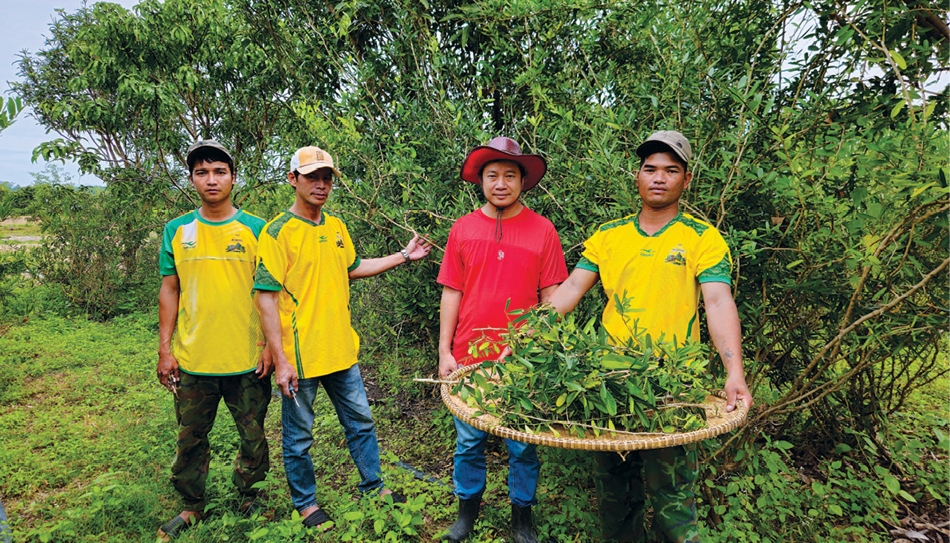 nông nghiệp xanh 2