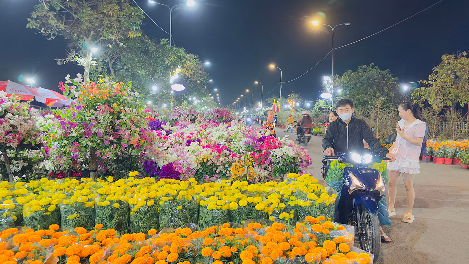 cho-hoa-xuan-binh-dien-2026-1.jpg