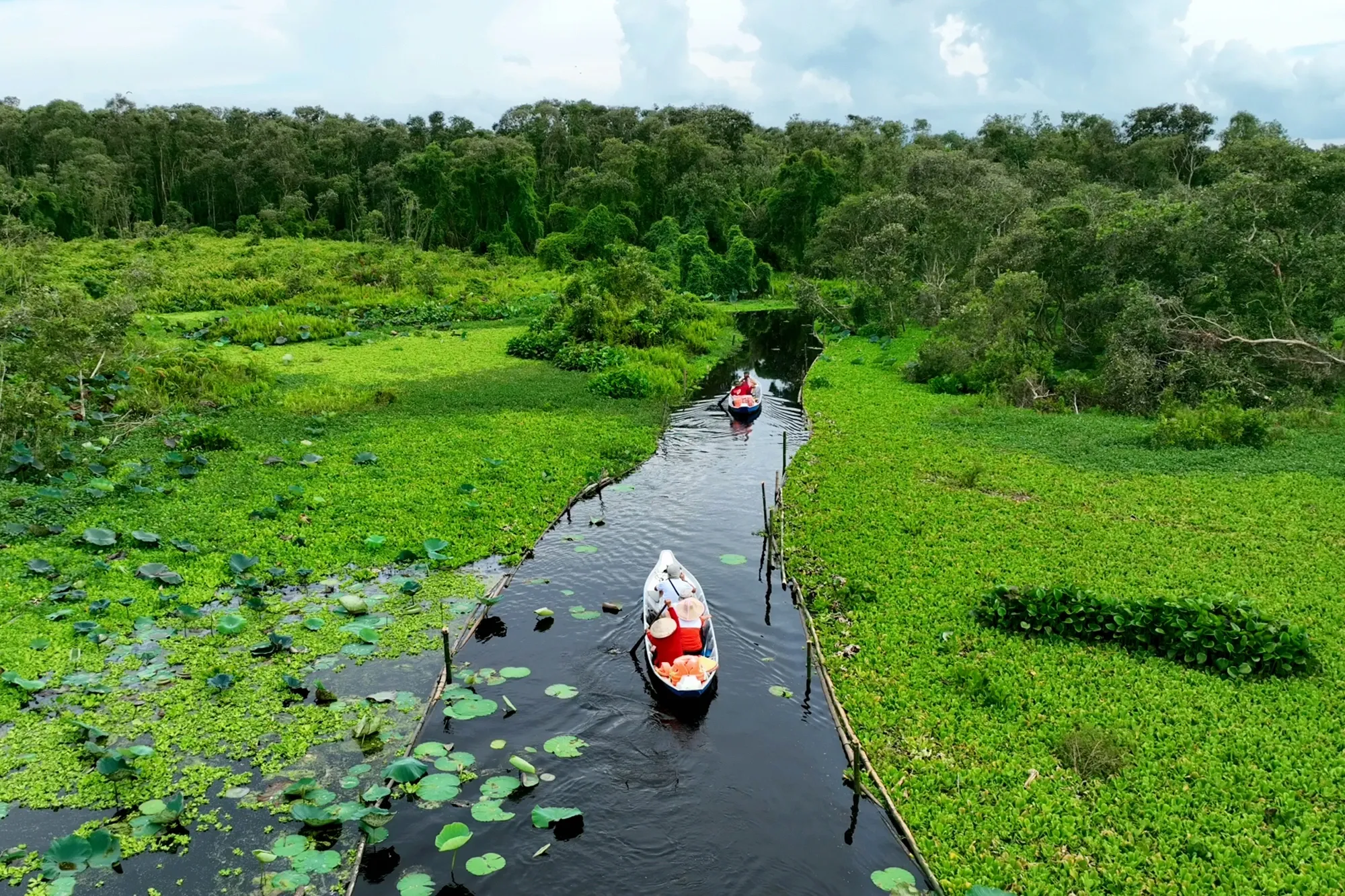 Du khách chèo xuồng tham quan rừng tràm Trà Sư (An Giang). Ảnh Thanh Niên