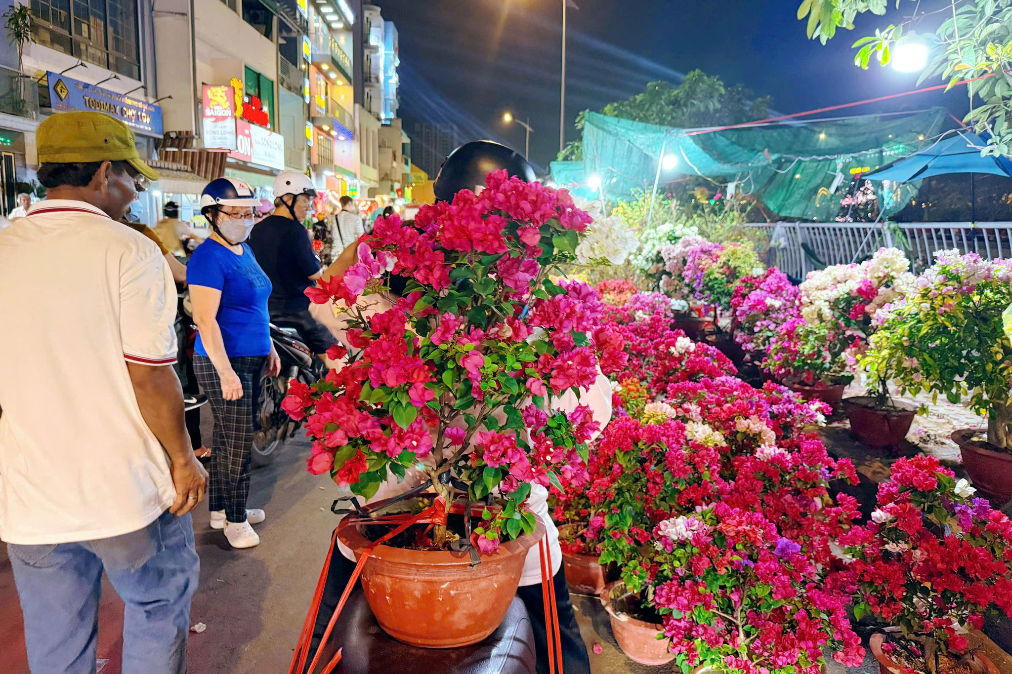 cho hoa xuan (11)
