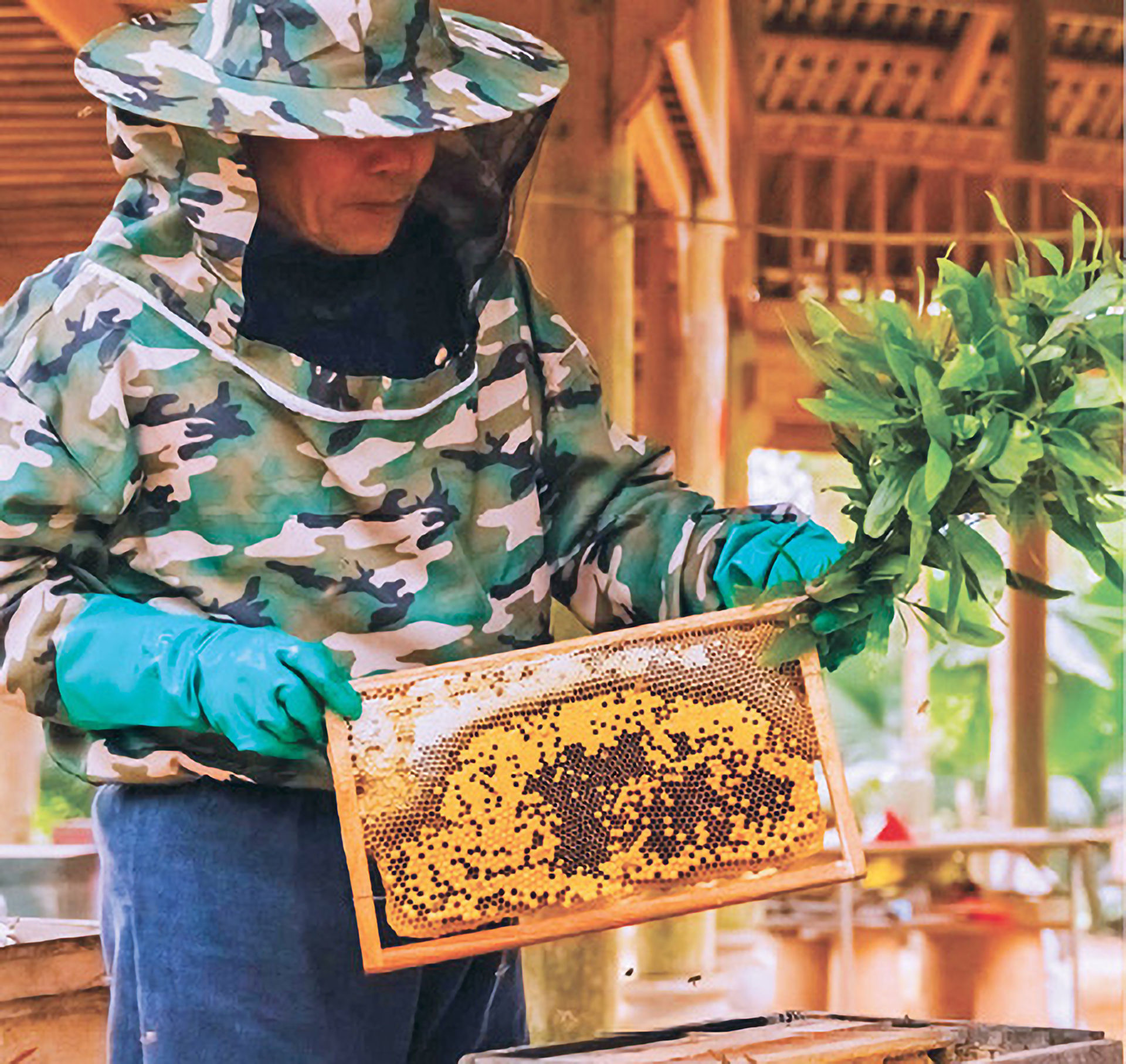 du lịch dưỡng xuân 2