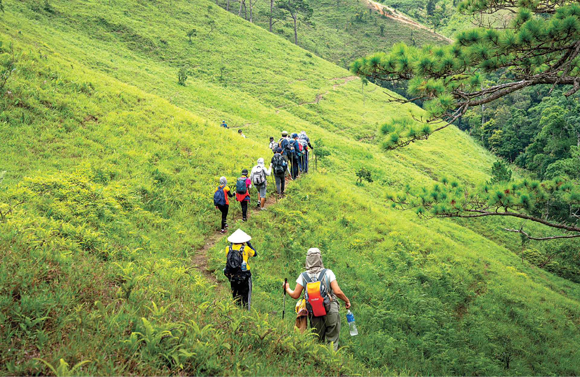 du lịch dưỡng xuân 8