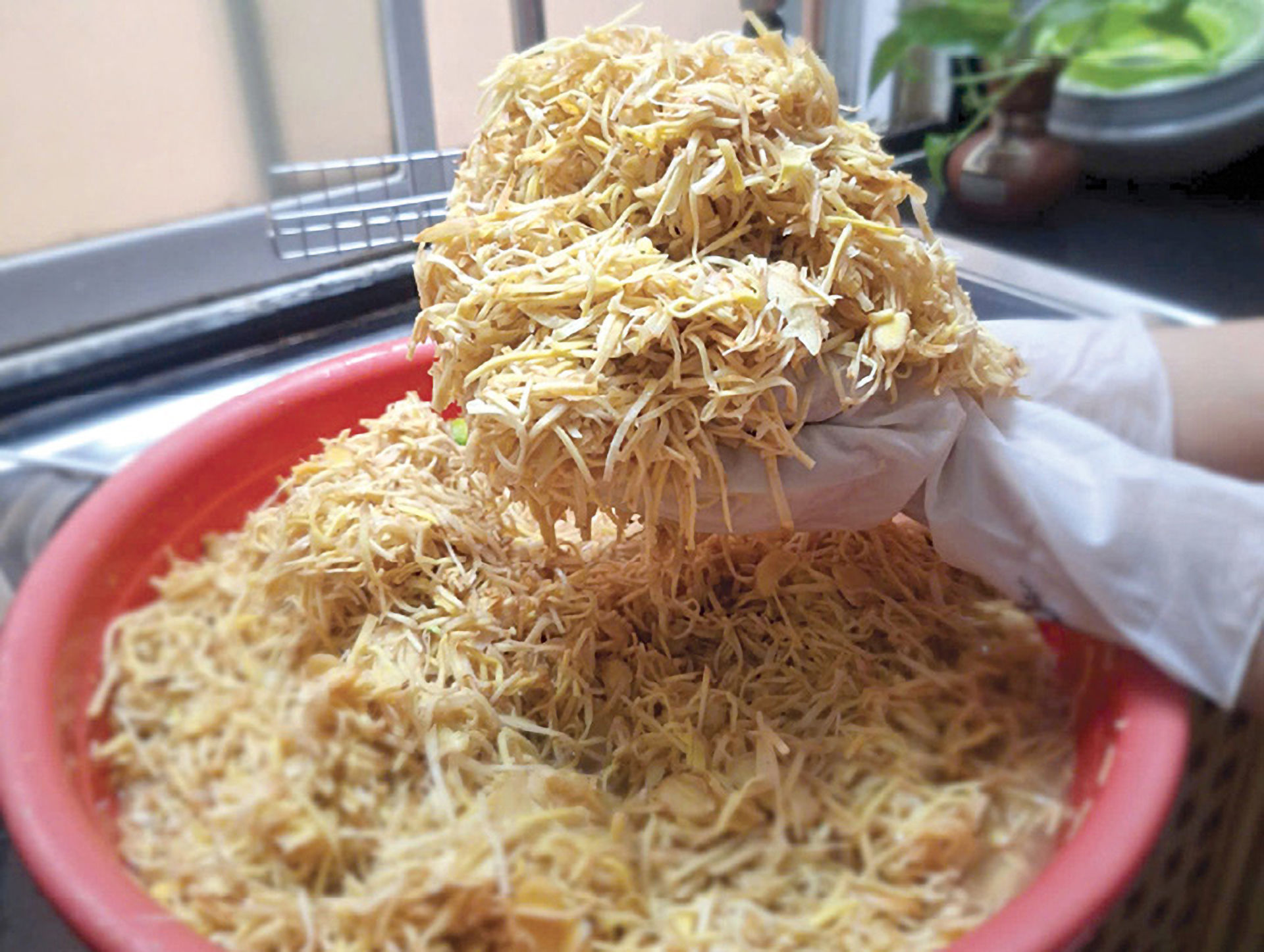 gừng 3