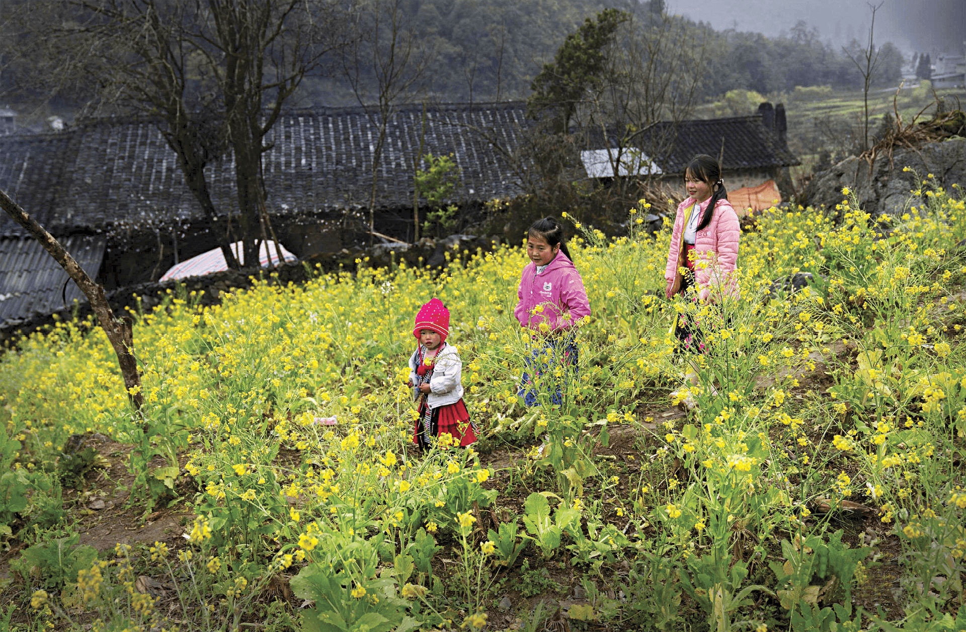 Hà Giang 4