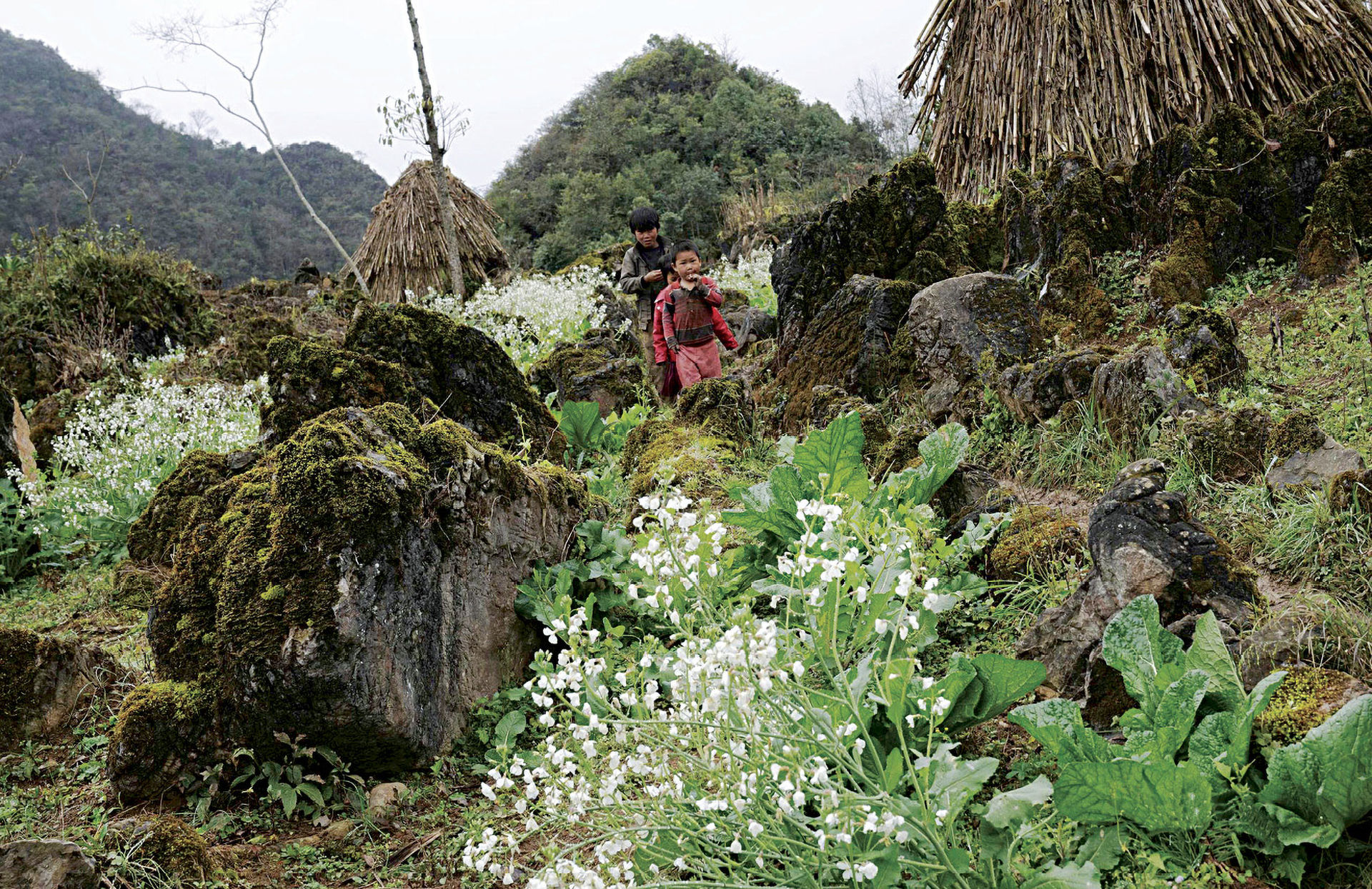 Hà Giang 6