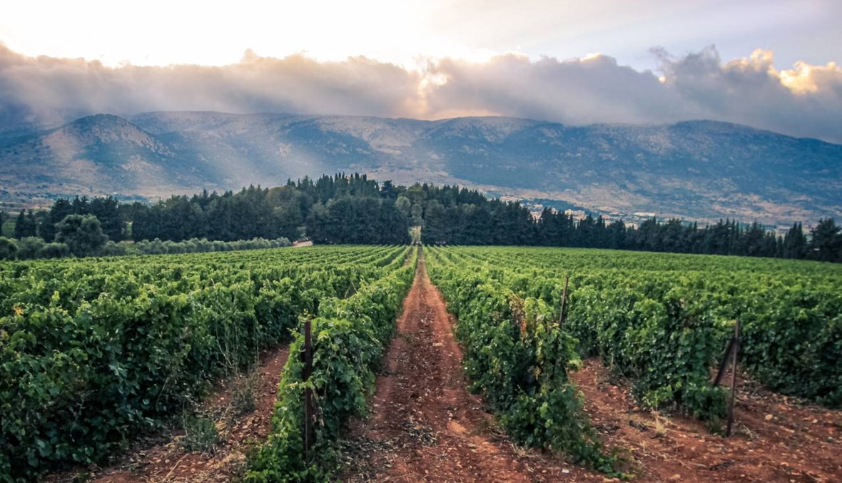 agri-lebanon-1.jpg