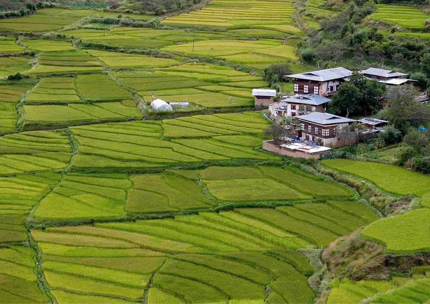Đồng quê Bhutan với nông nghiệp organic.