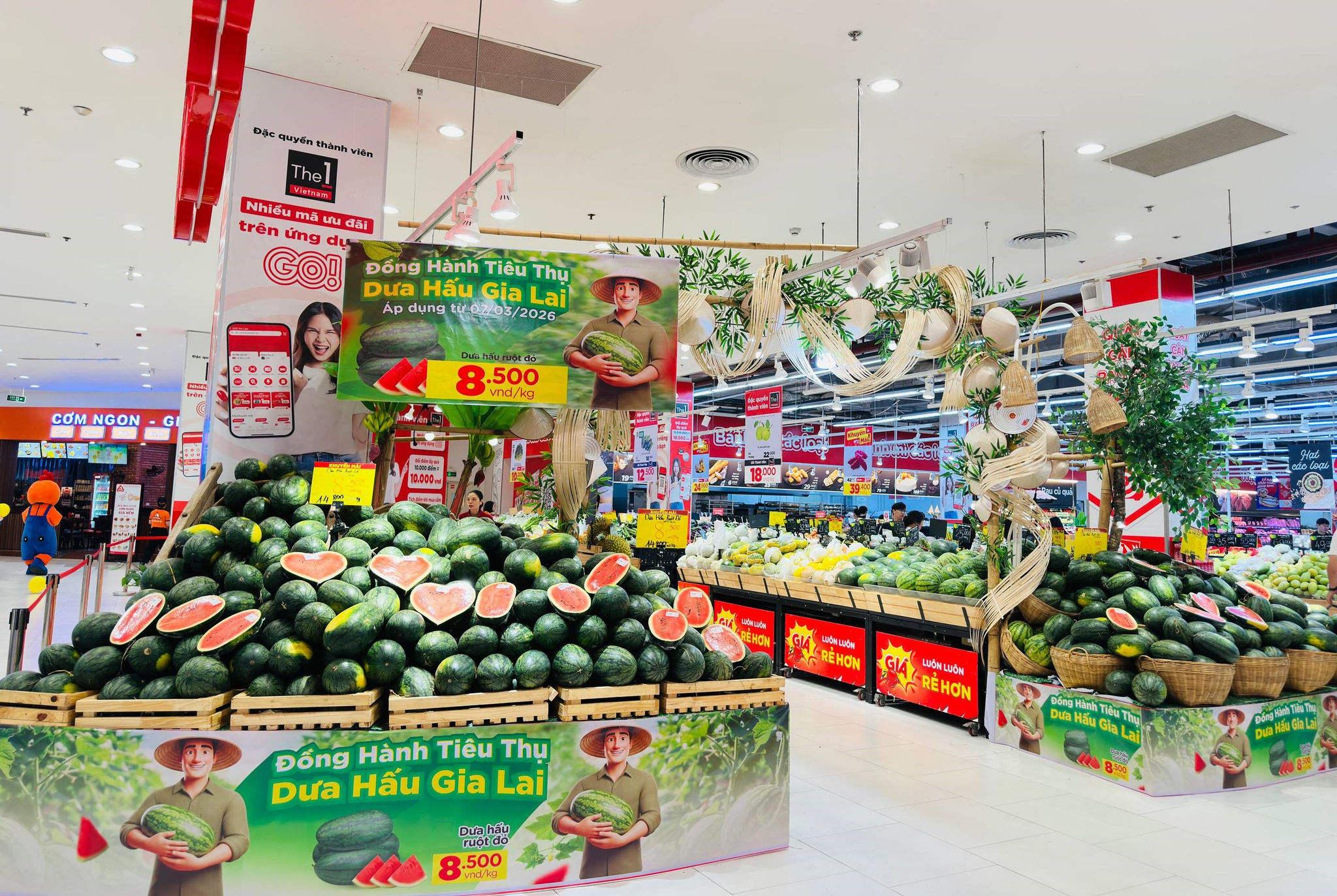 3 -Giới thiệu dưa hấu Gia Lai tại GO!