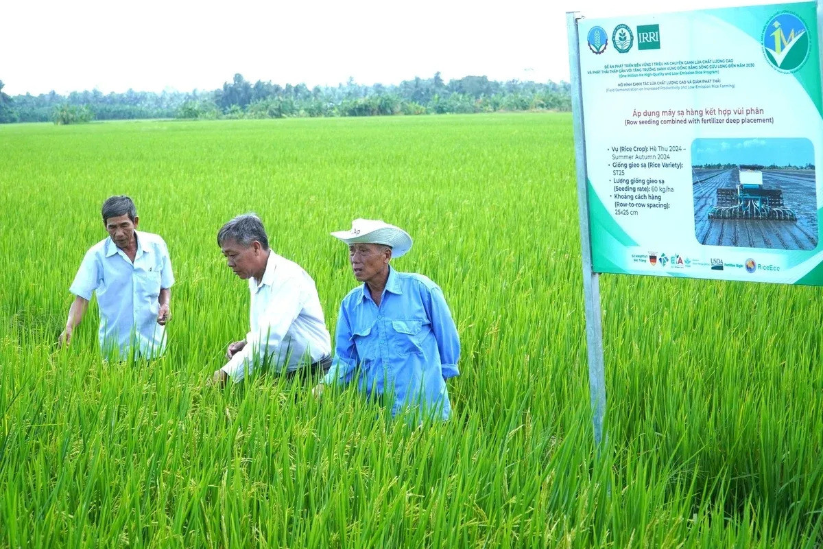 1 triệu ha và lời giải thực chất trên đồng