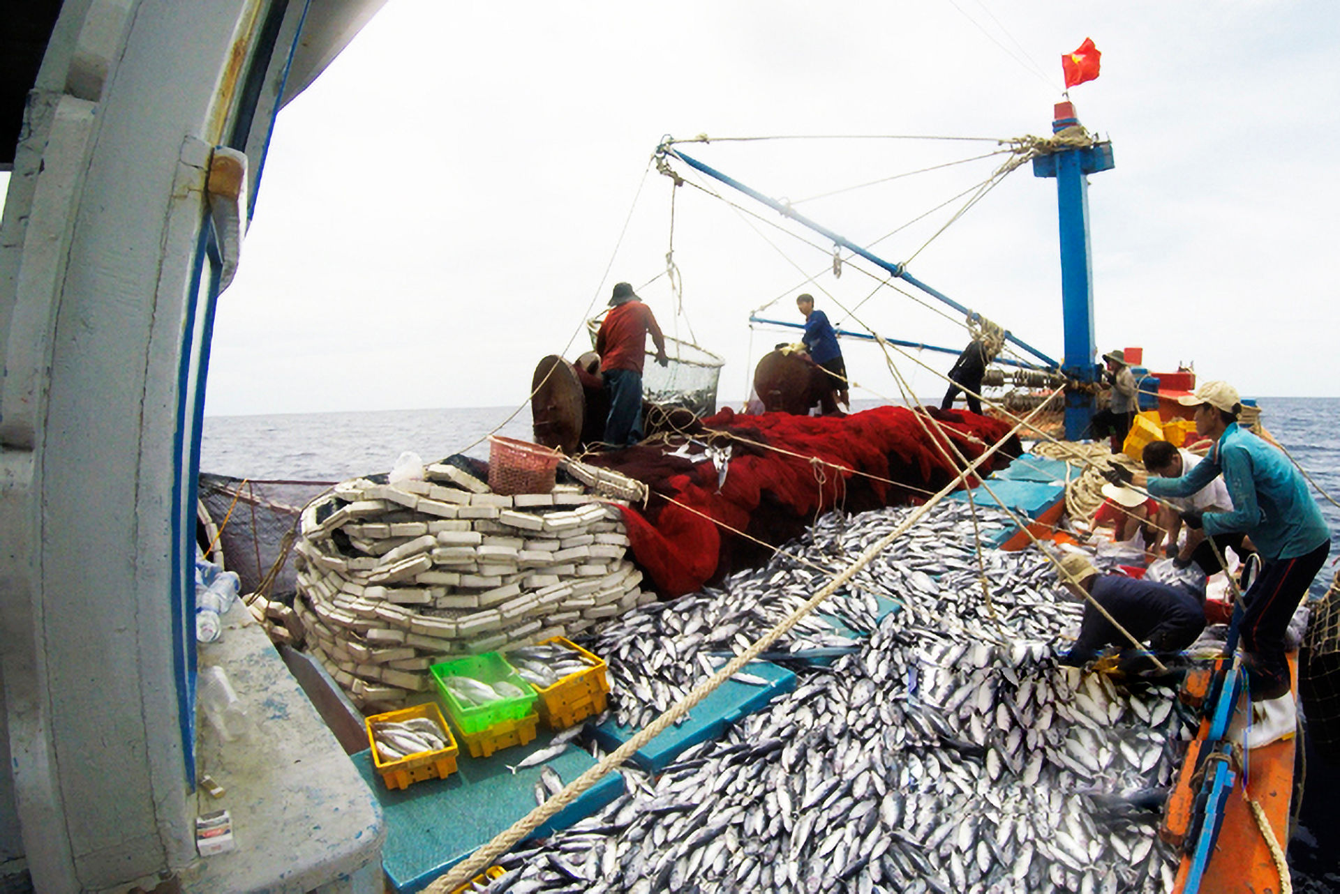 EC bắt đầu kiểm tra ‘thẻ vàng' IUU: Cú quyết định sinh-tử sau 7 năm 