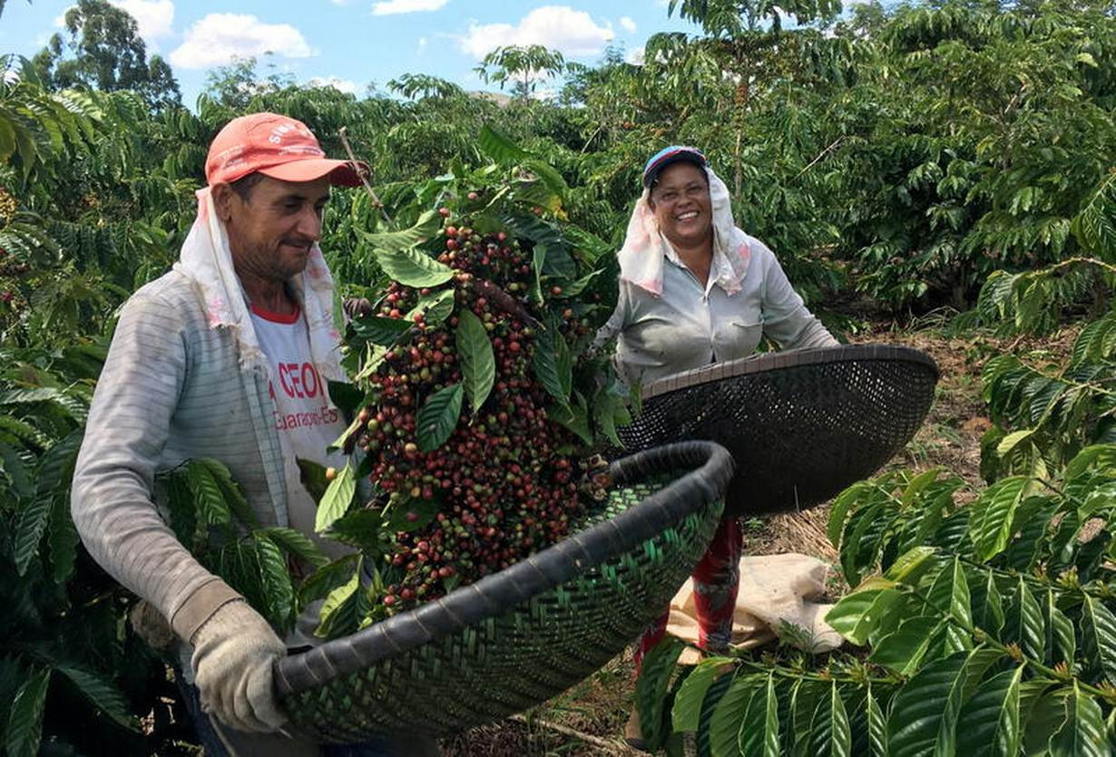 Liên hợp quốc chính thức công nhận Ngày Quốc tế Cà phê
