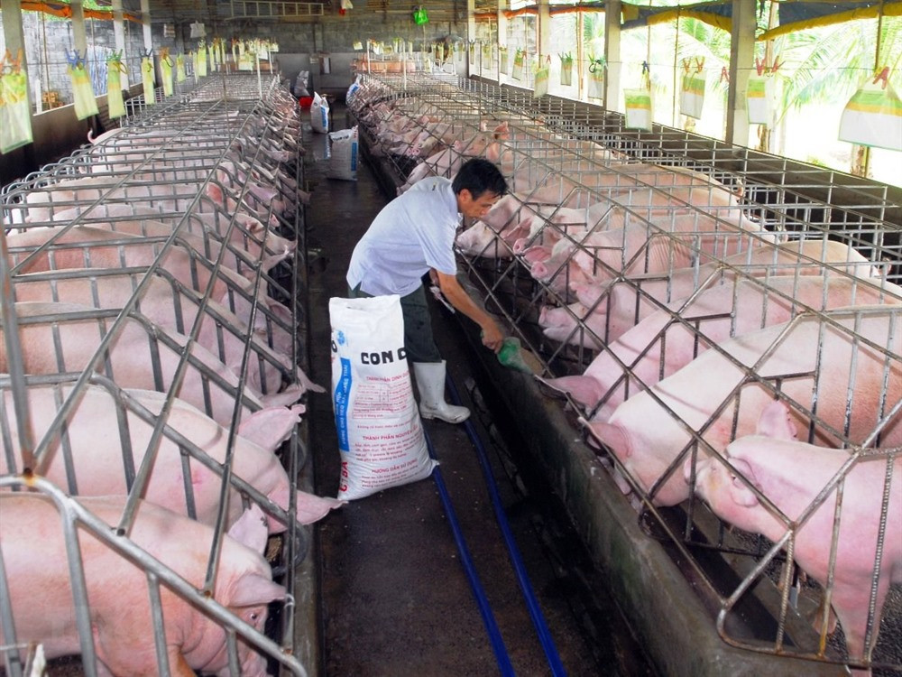 Chảo lửa Trung Đông và cơn lốc quét qua chuồng trại Việt