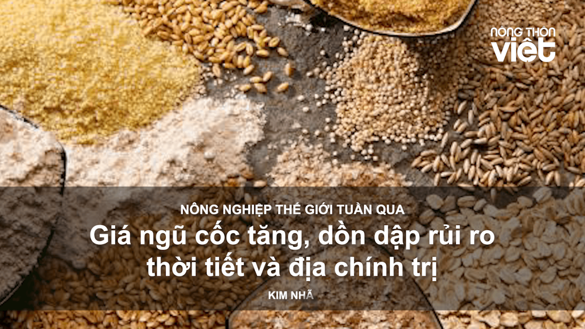 Nông nghiệp thế giới tuần qua: Giá ngũ cốc tăng, dồn dập rủi ro thời tiết và địa chính trị
