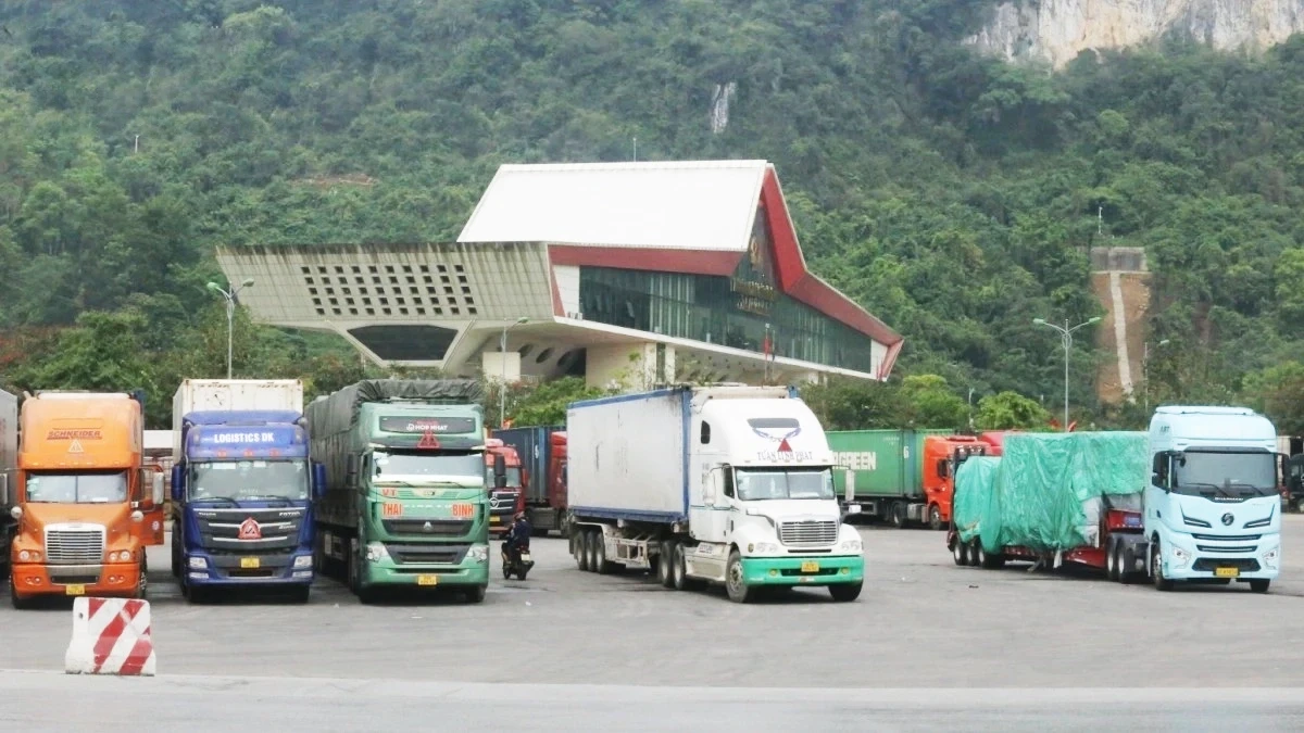 Tạm ngưng Nghị định 46: Phá điểm nghẽn xuất nhập khẩu nông sản