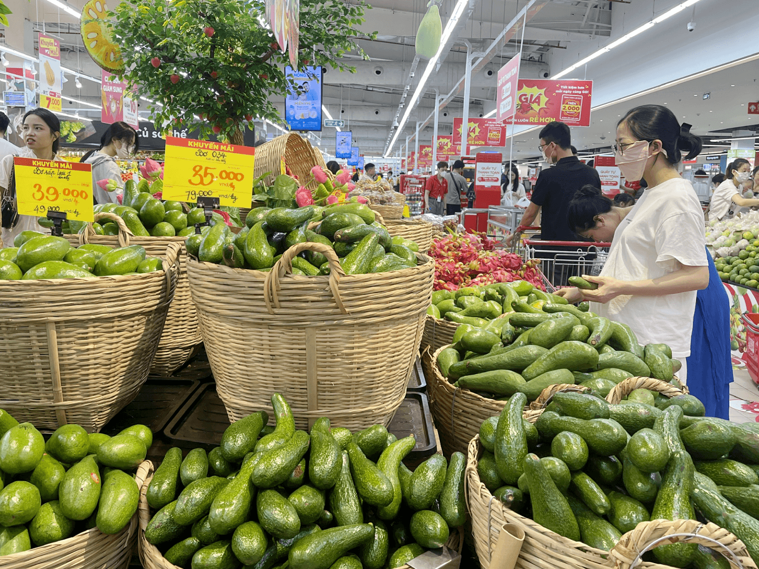 Hữu cơ… bao bì
