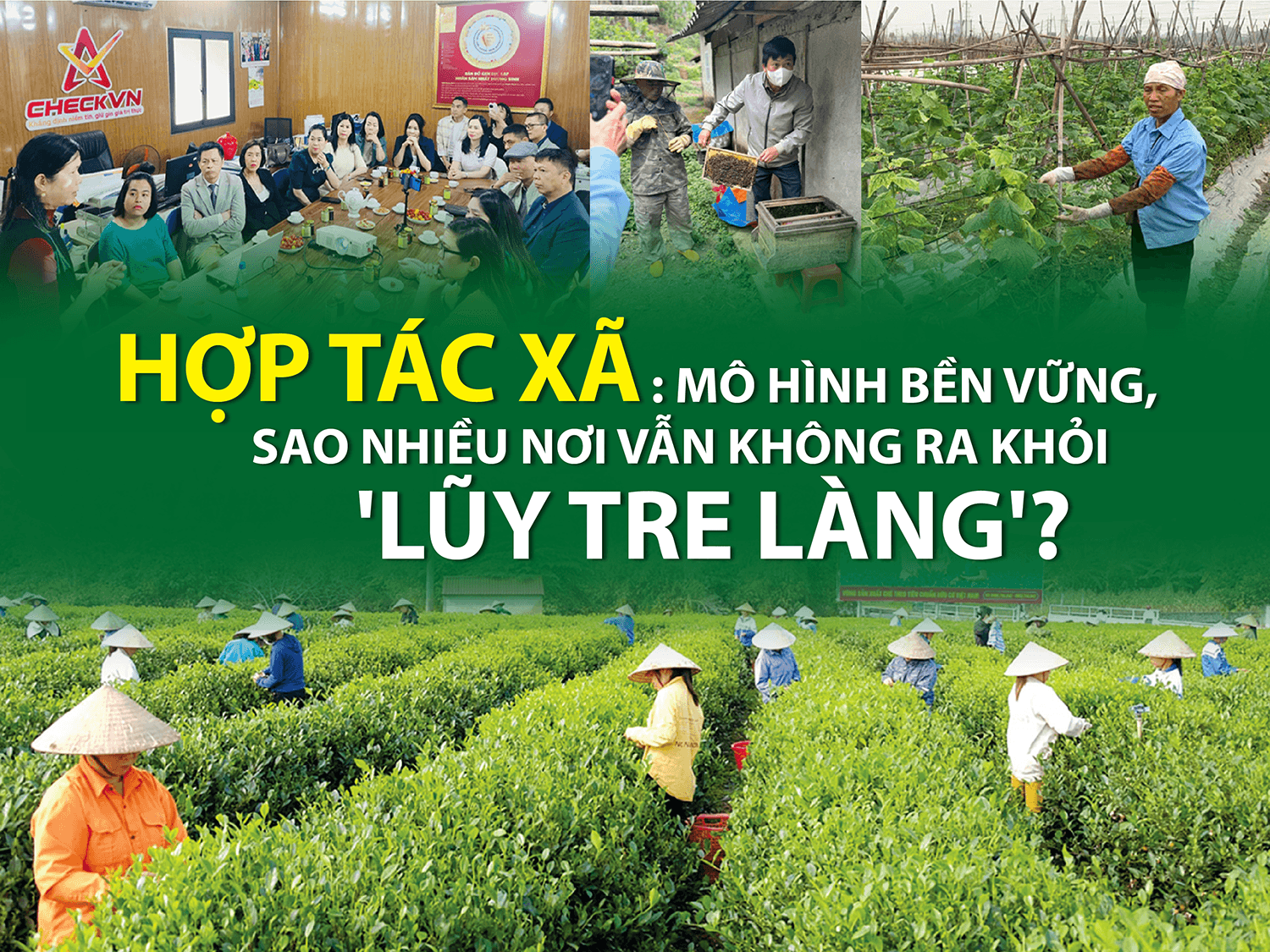 Hợp tác xã: Mô hình bền vững, sao nhiều nơi vẫn không ra khỏi 'lũy tre làng'?