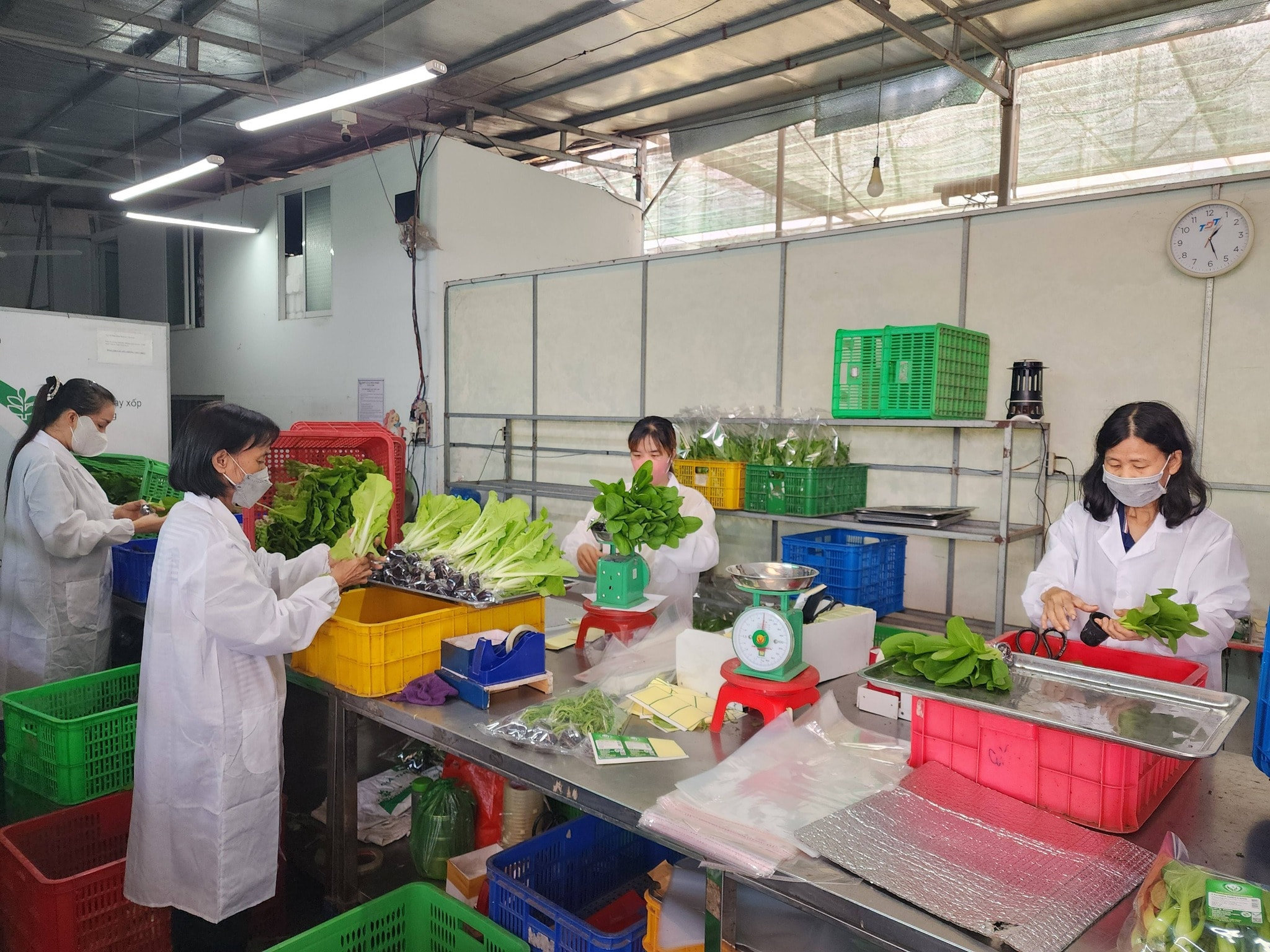 Hợp tác xã: Muốn đi xa, 'chân kiềng' phải vững
