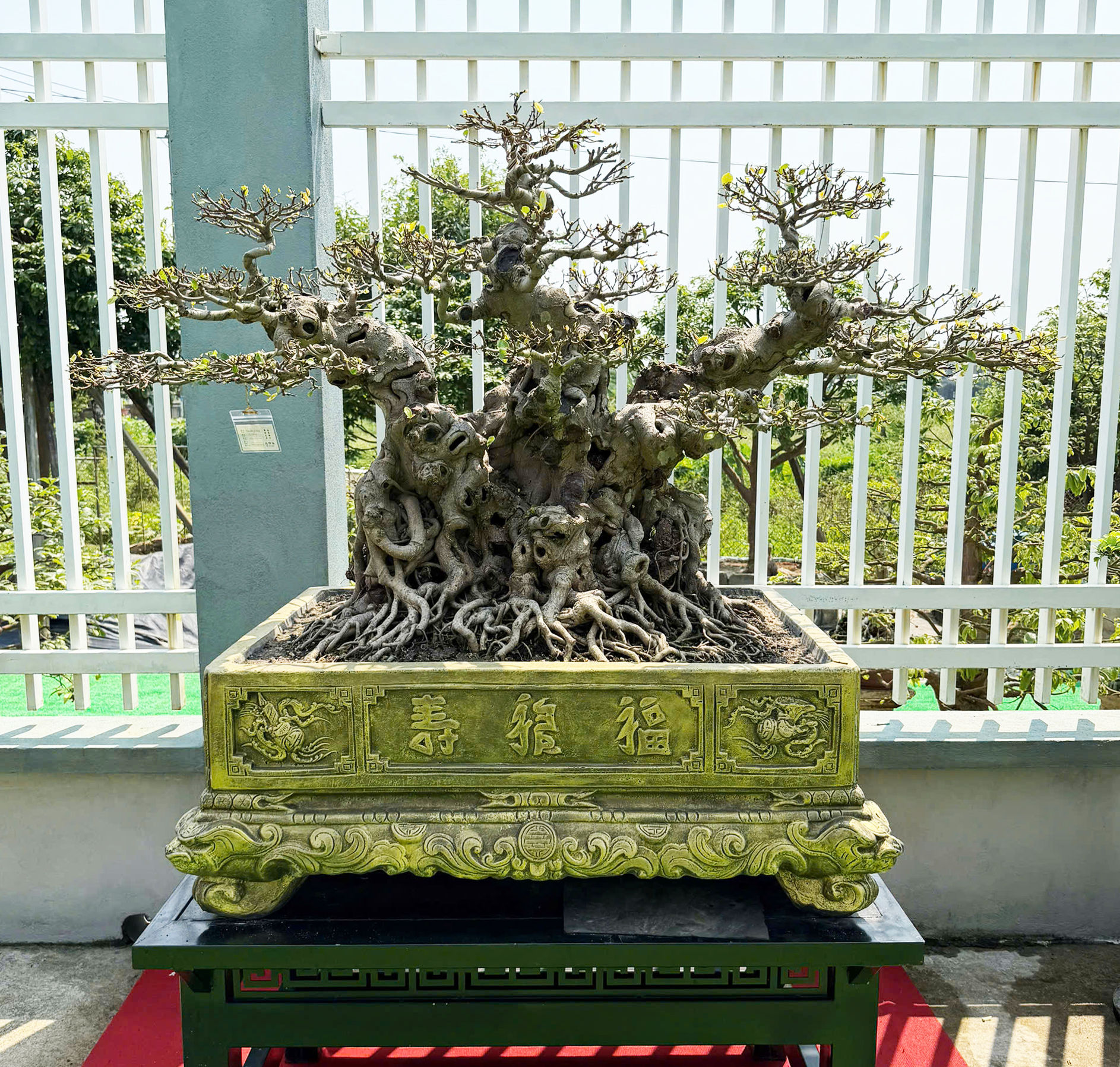 z7709821879922_f746af3d687f53558d5c7e7e12bdecc2.jpg