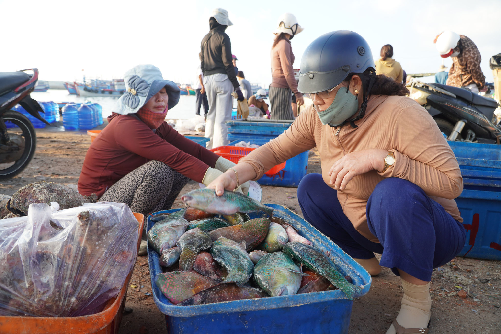 Chủ nhà hàng chọn cá tươi chế biến thành những món ngon phục vụ du khách