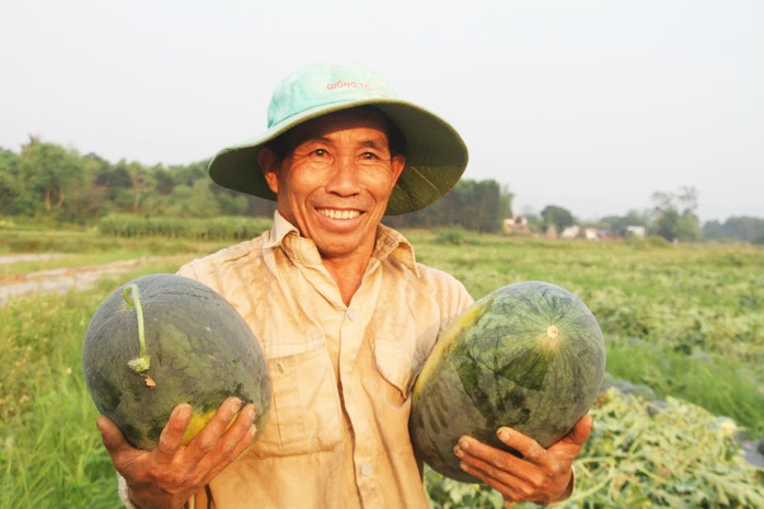 19dưa hấu