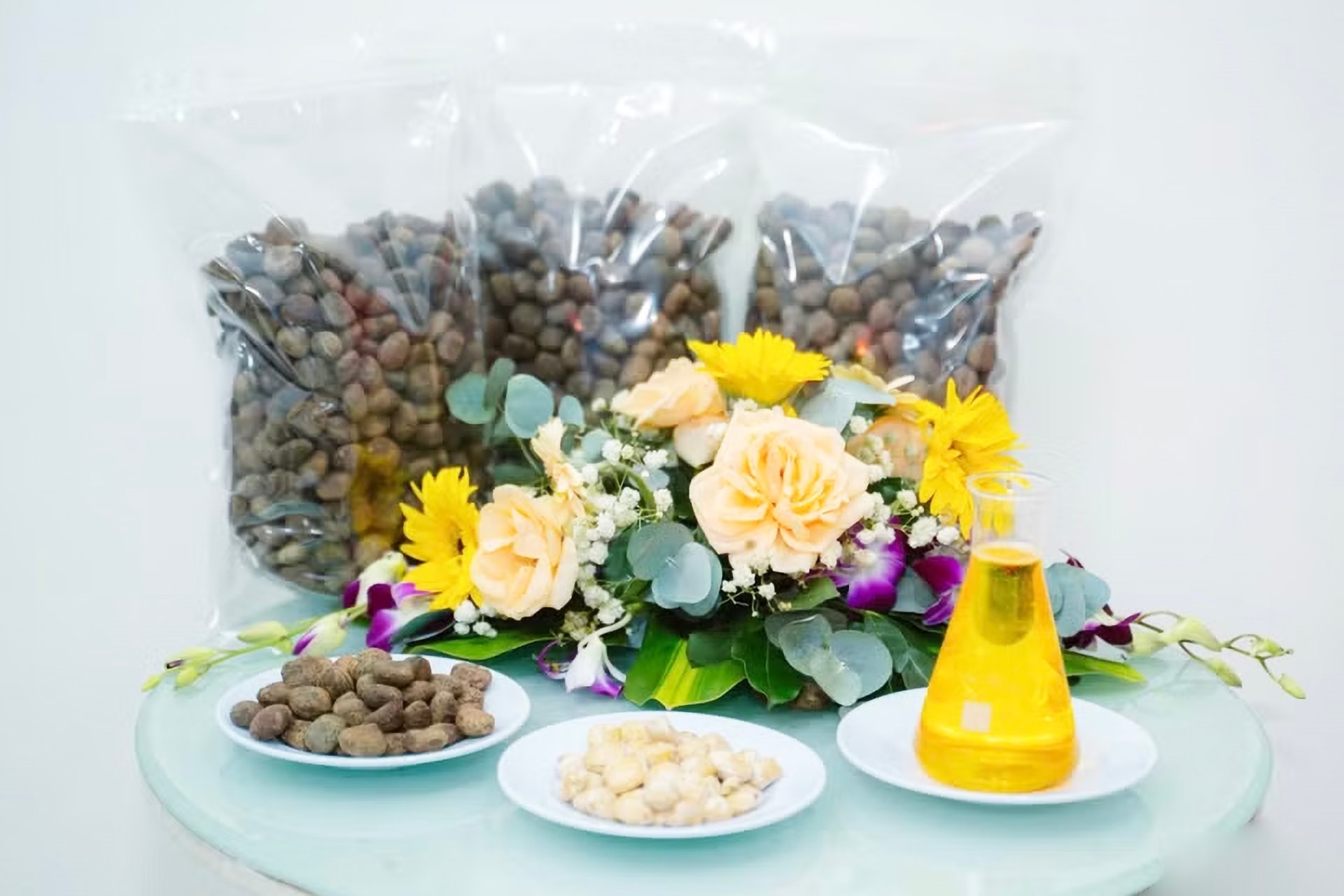 ??trong ??     ra dau  loi giai cho con khat nang luong tren dong ruong viet