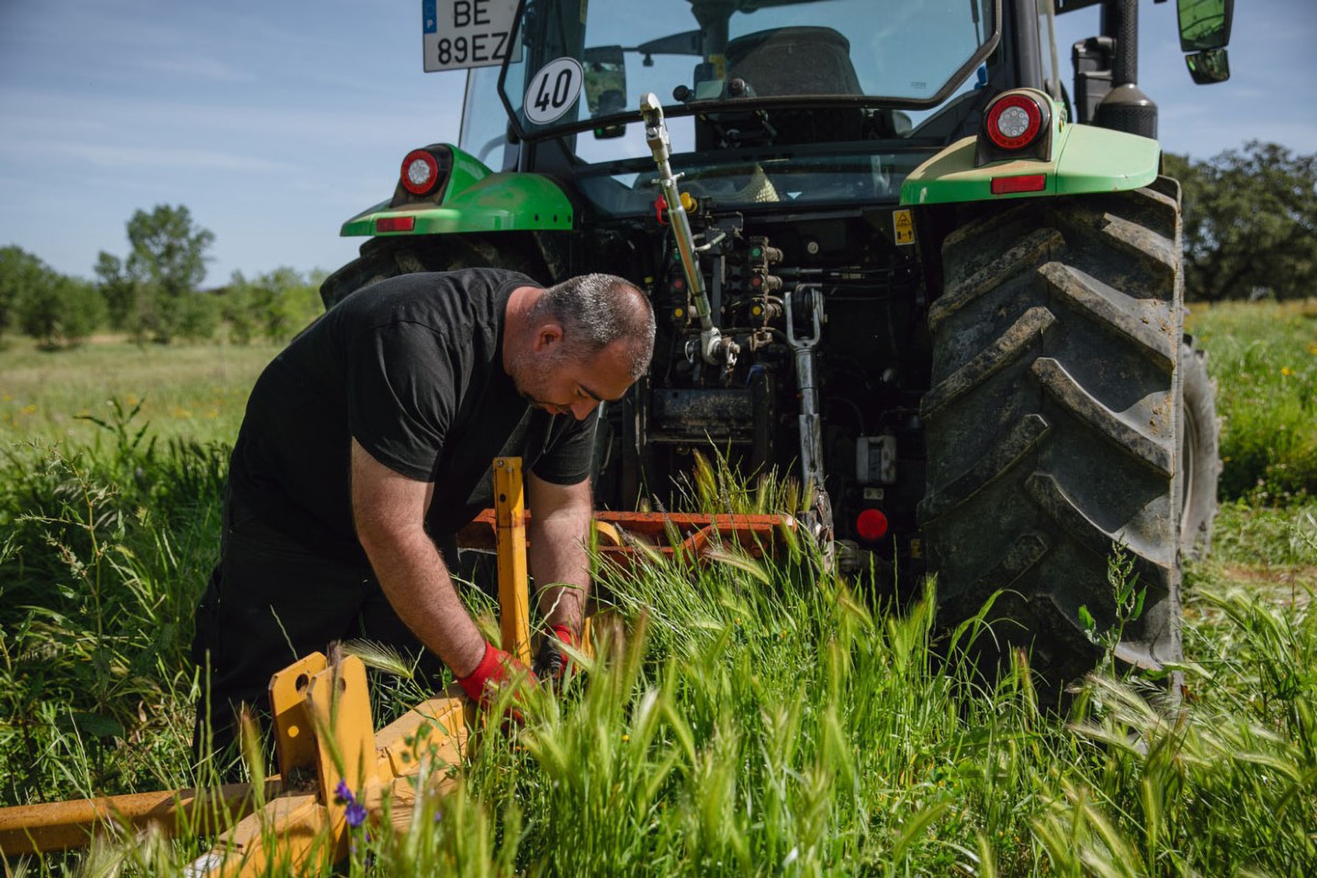 ??trong ??     ra dau  loi giai cho con khat nang luong tren dong ruong viet