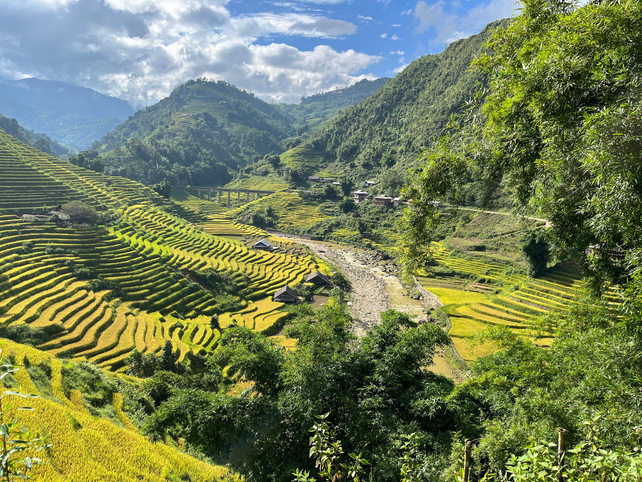 Mùa hoa nở trên miệng hầm trú bom 11