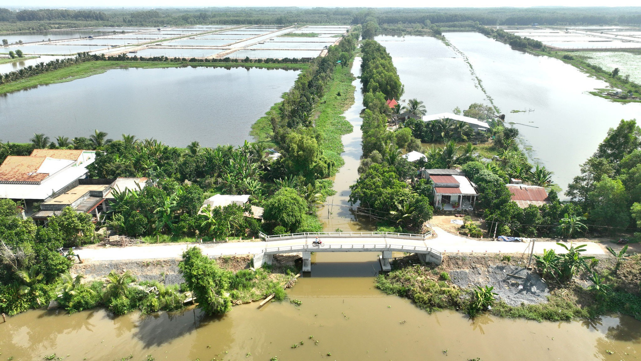 Công trình cầu mới ở Tân Thạnh