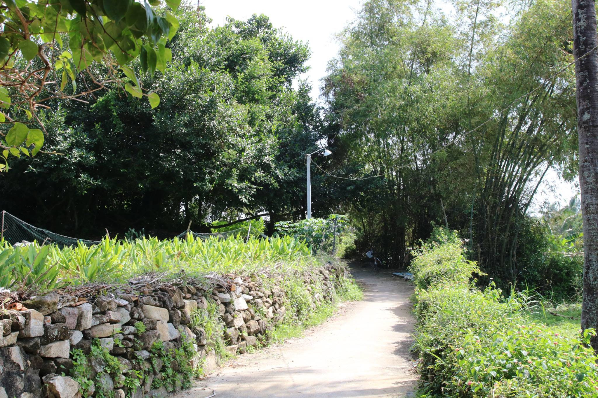 Những con ngõ, nếp nhà thanh bình ở Gò Cỏ (18)