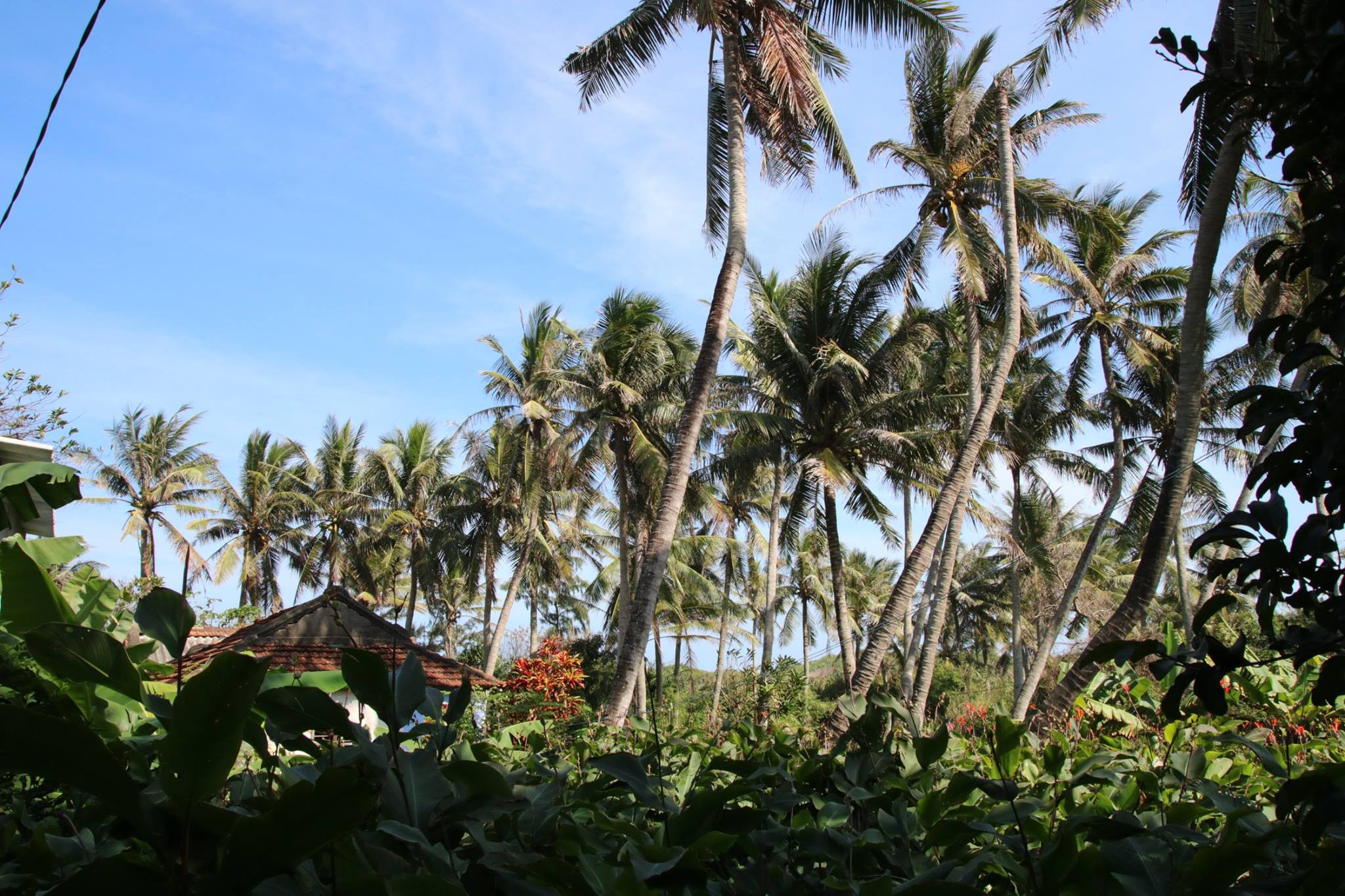 Những con ngõ, nếp nhà thanh bình ở Gò Cỏ (19)