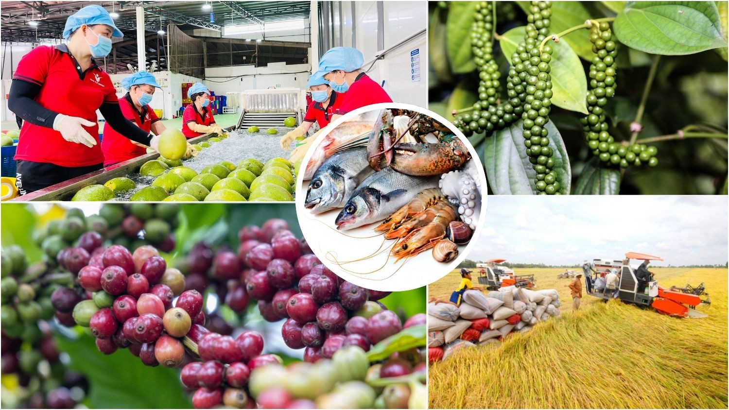 Nông lâm thủy sản Việt Nam trước ngưỡng cửa 74 tỷ USD: Vượt bão logistics, gỡ ‘nút thắt’ thể chế!