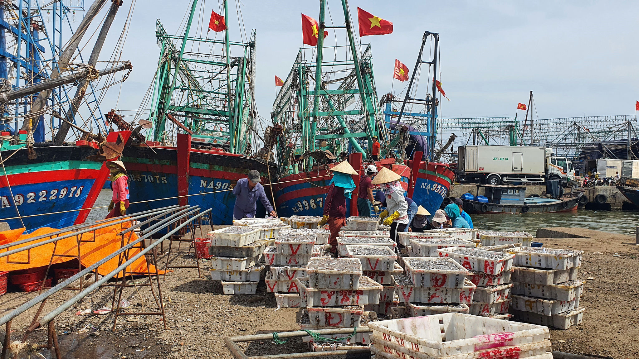 'Thẻ vàng' IUU: Vì sao cơ quan an ninh trực tiếp kiểm tra tại Huế?