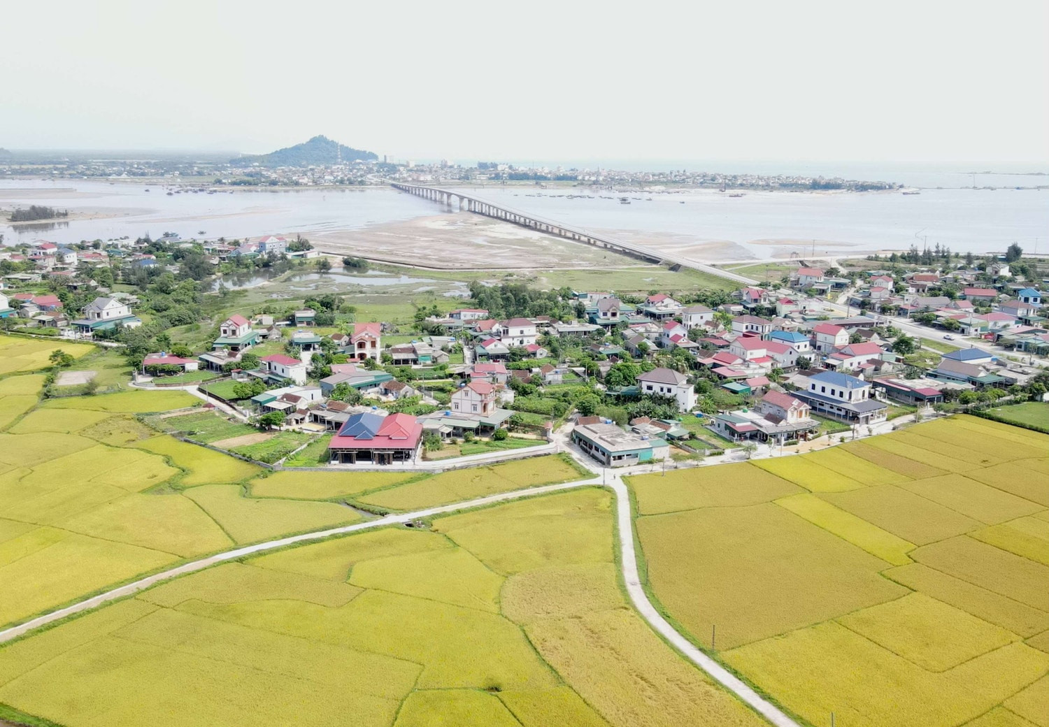 Mùa vàng trên các cánh đồng ở Hà Tĩnh. Nguồn: daibieunhandan.vn