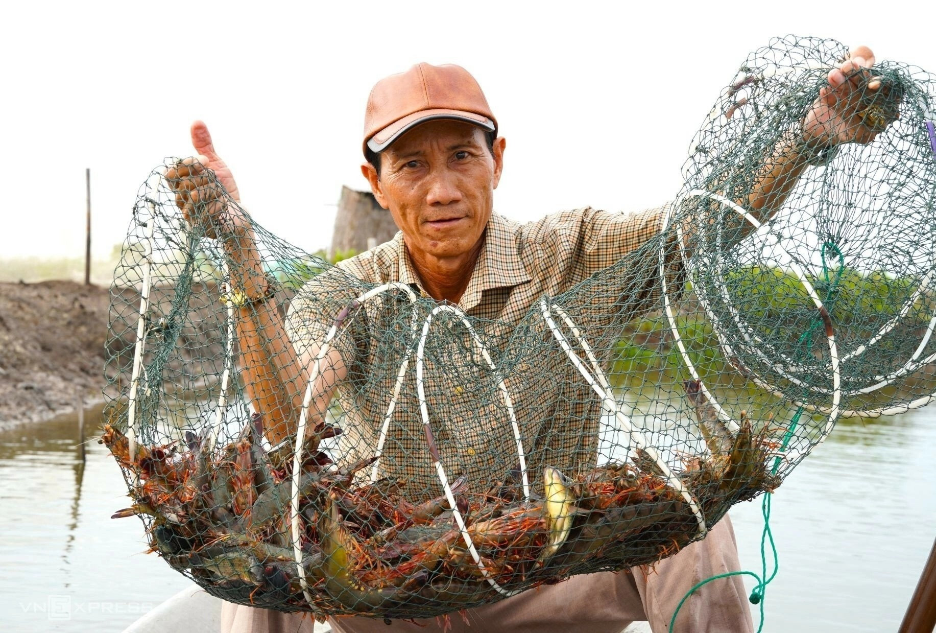 Cua Cà Mau: Từ phòng thí nghiệm Mỹ đến… càng nuôi càng chết 