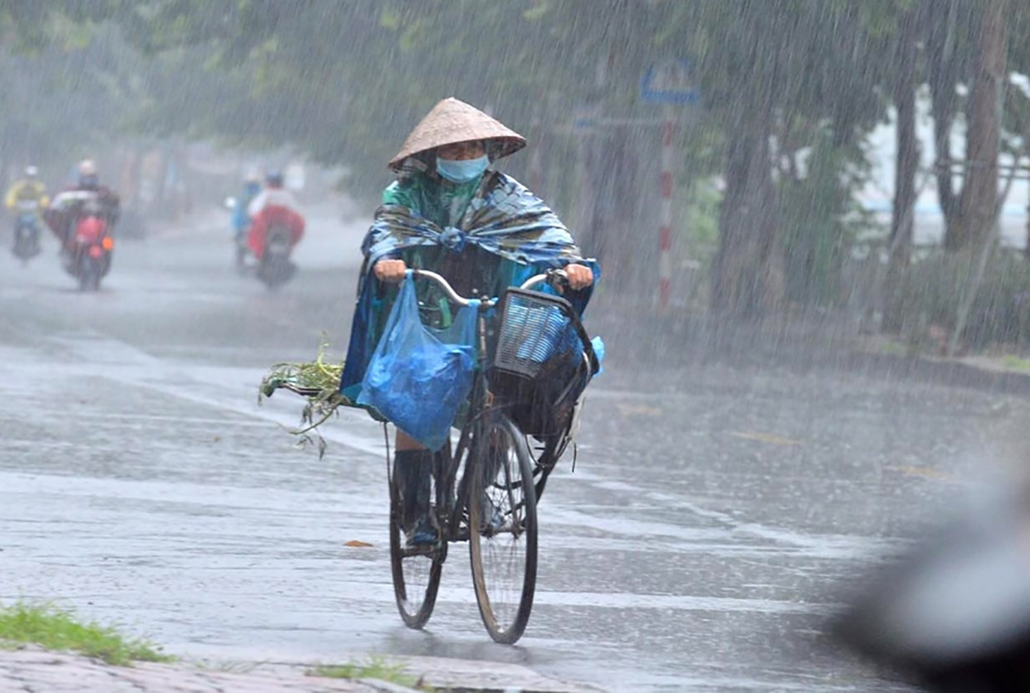 Mưa lũ không còn đi theo ký ức cũ. Ảnh: MTO