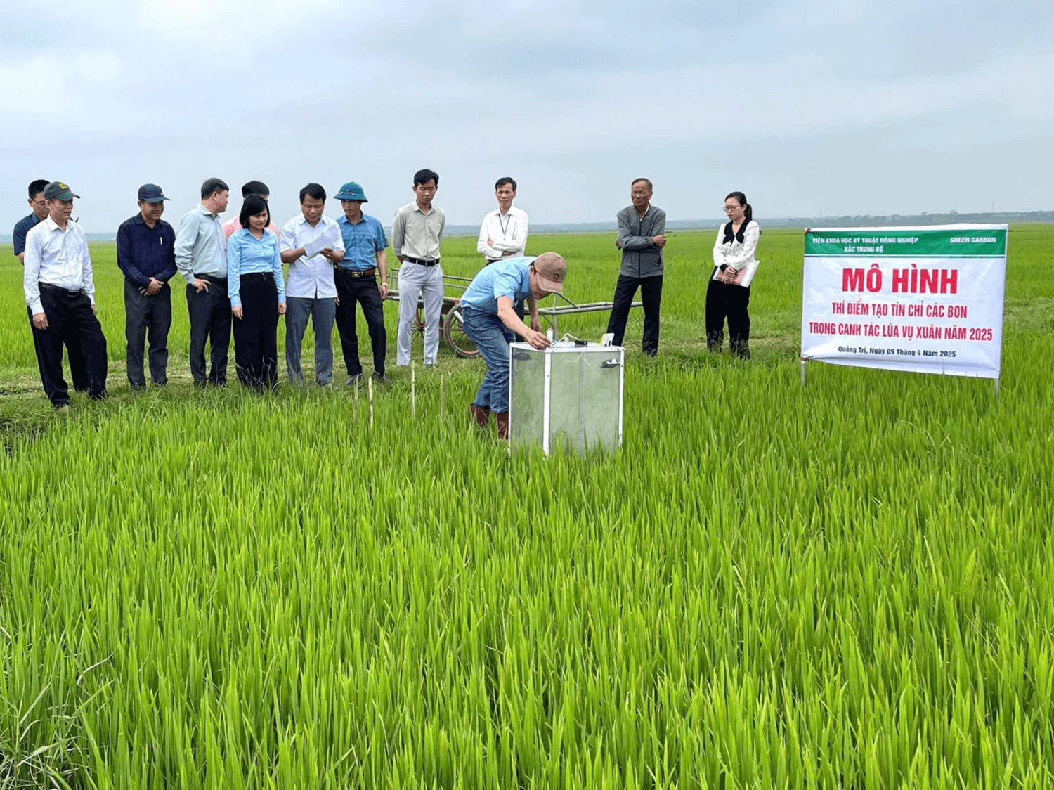 Lãnh đạo Sở NN-MT tỉnh Quảng Trị và Viện Khoa học Kỹ thuật nông nghiệp Bắc Trung bộ, Công ty Green Carbon kiểm tra mô hình lúa giảm phát thải khí nhà kính tại HTX Duy Viên, xã Vĩnh Thủy. Ảnh: N.B