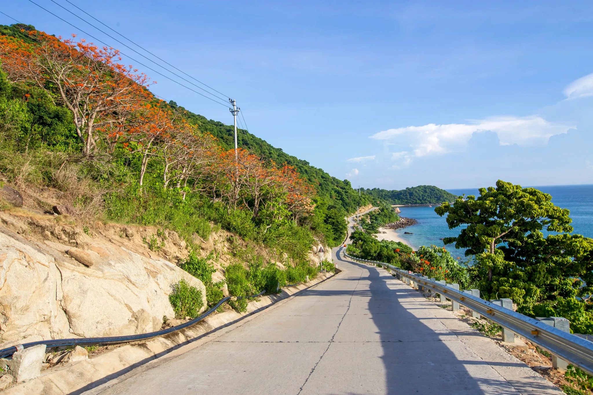 clc-16-1722336015.webp