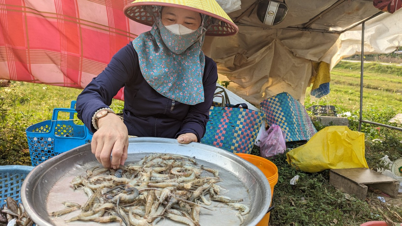 Thủy sản nước lợ từ phá Tam Giang được người dân đánh bắt và bày bán ngay gần bờ.