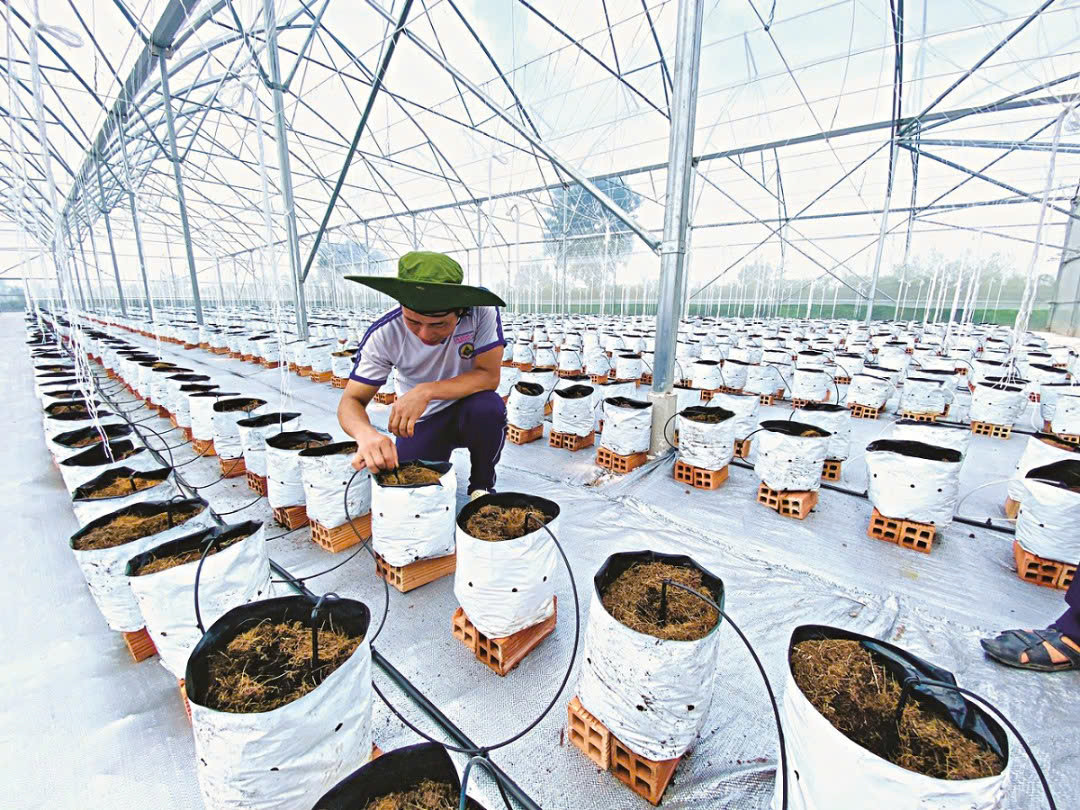 thiếu nước