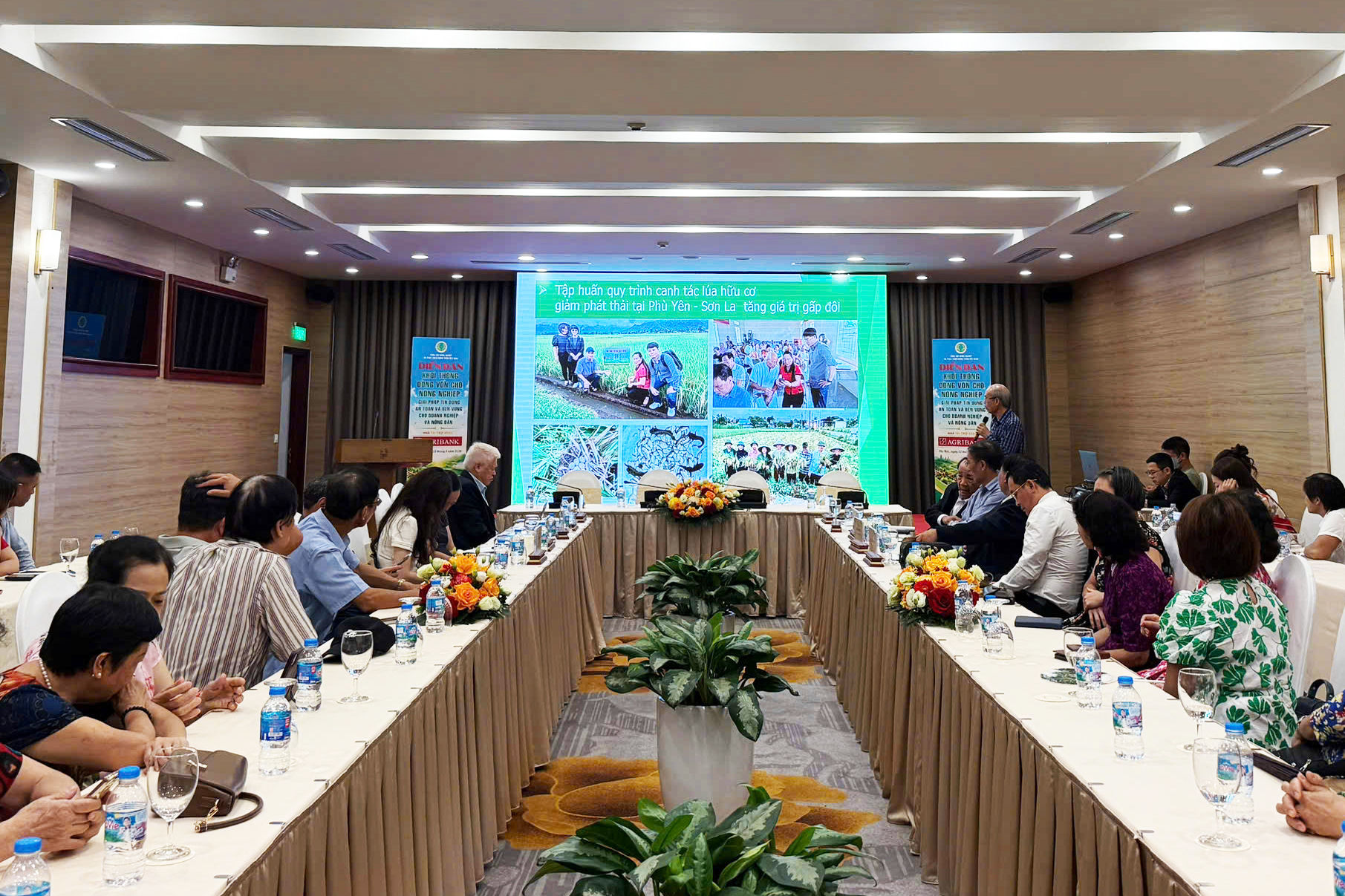 Tổng Hội 2