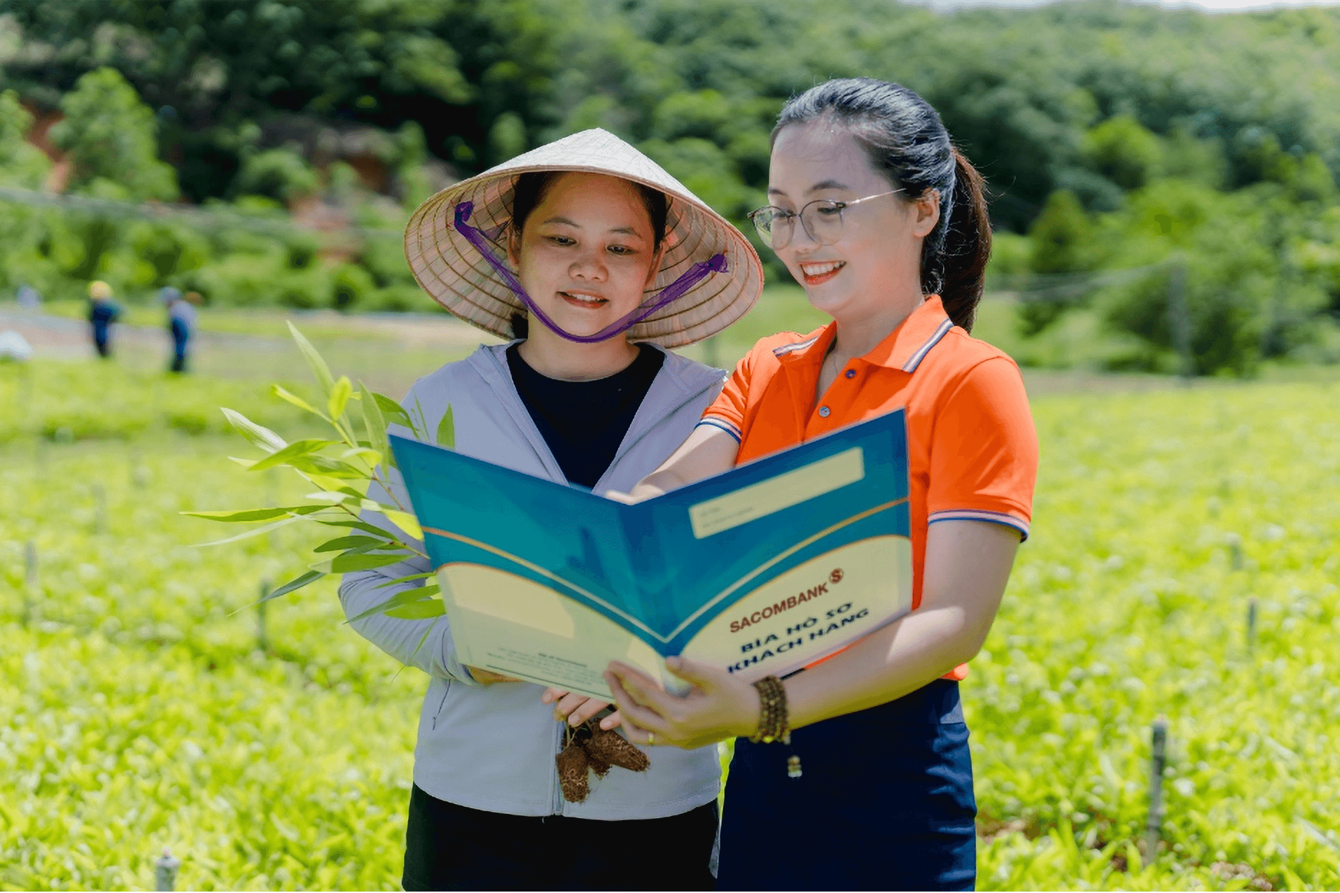 picture2.png