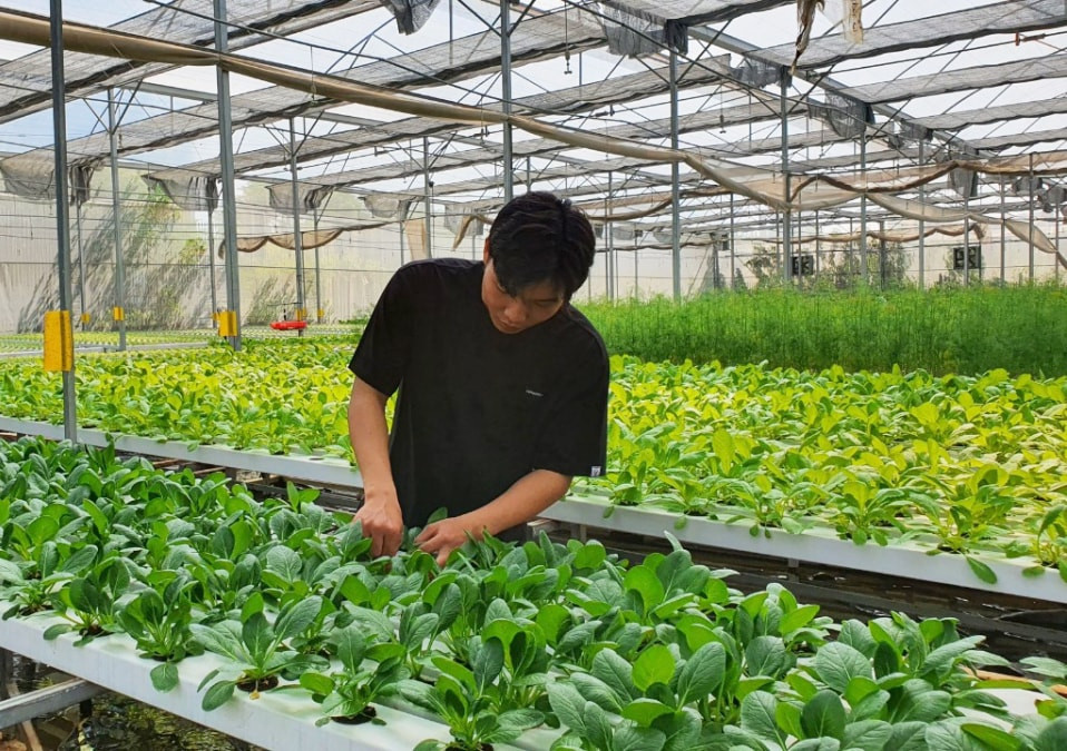 tam nông ở tphcm