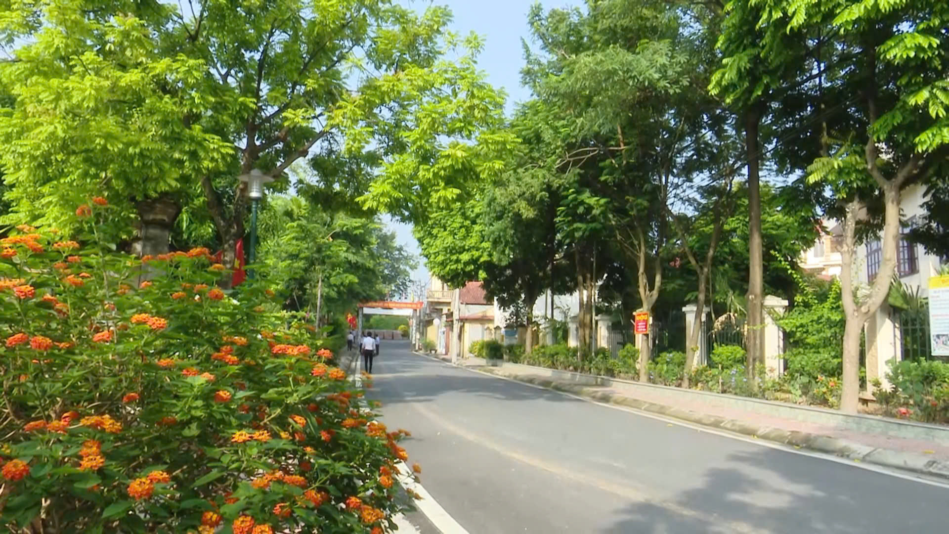 nông thôn mới